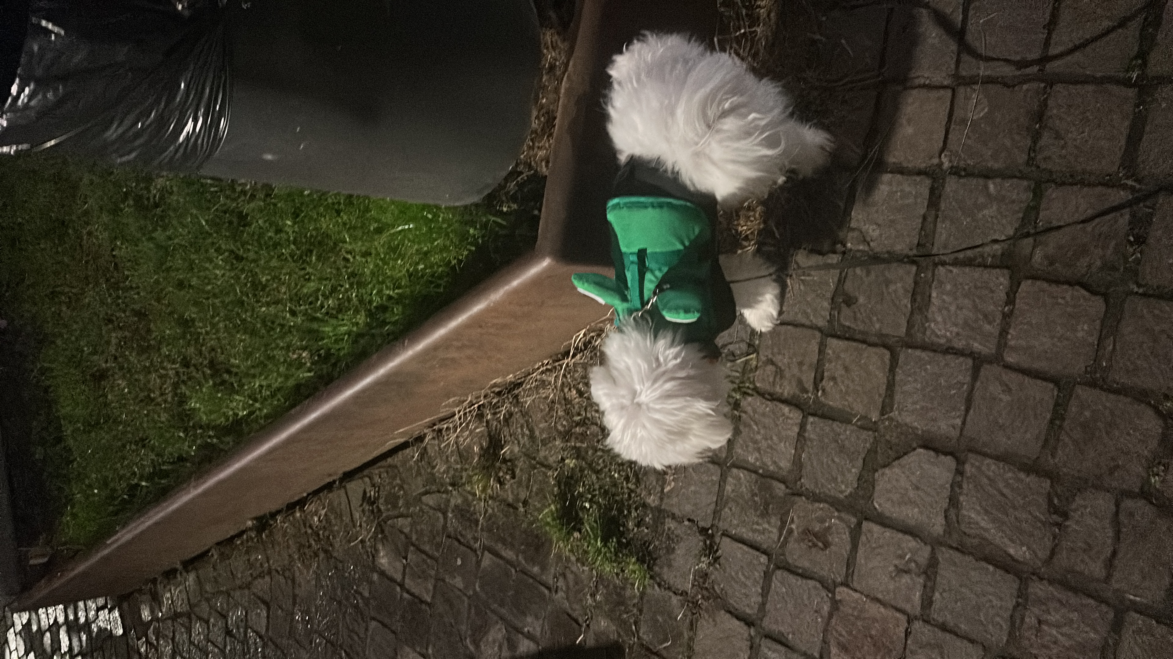 image-9