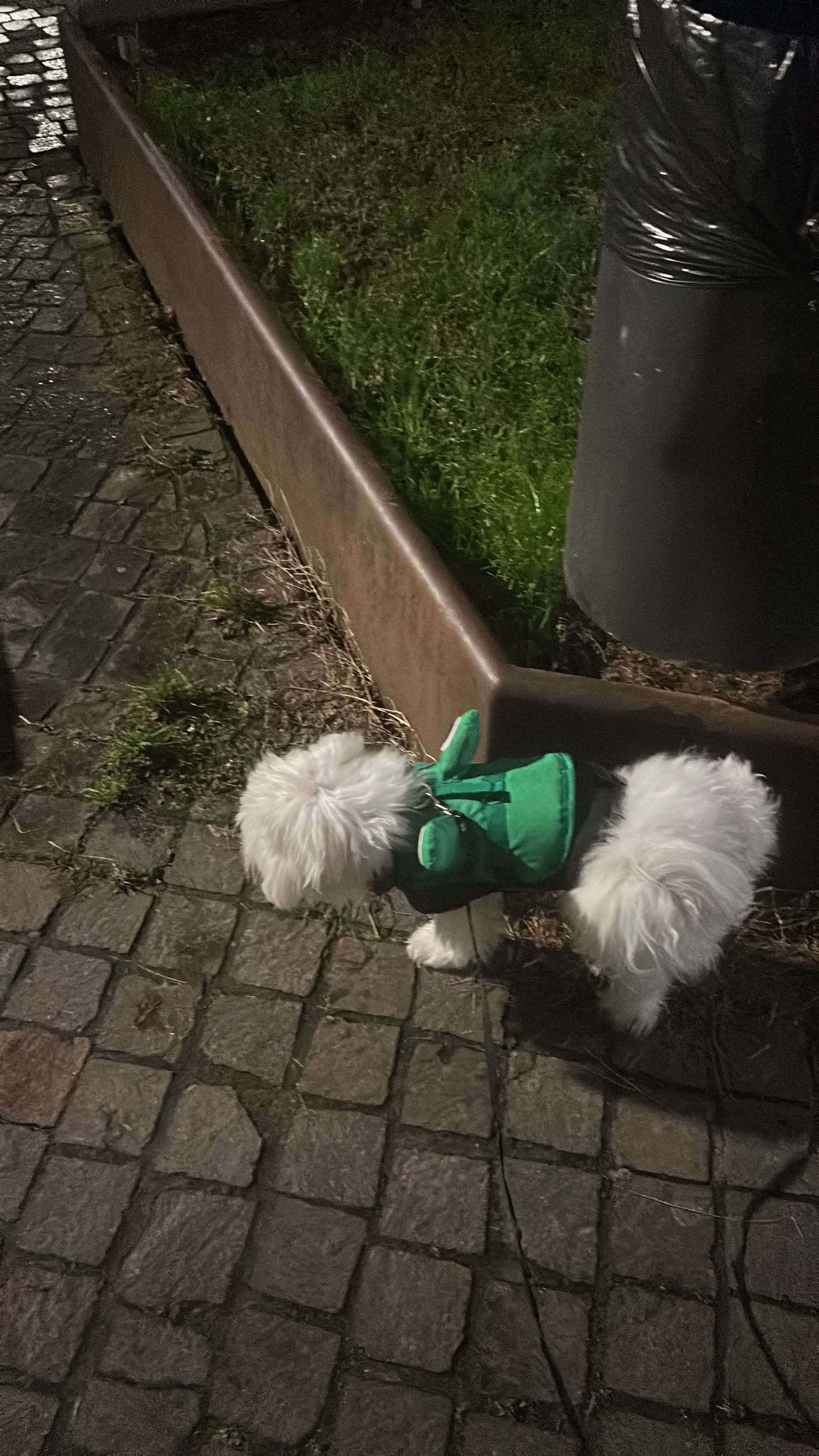 image-9