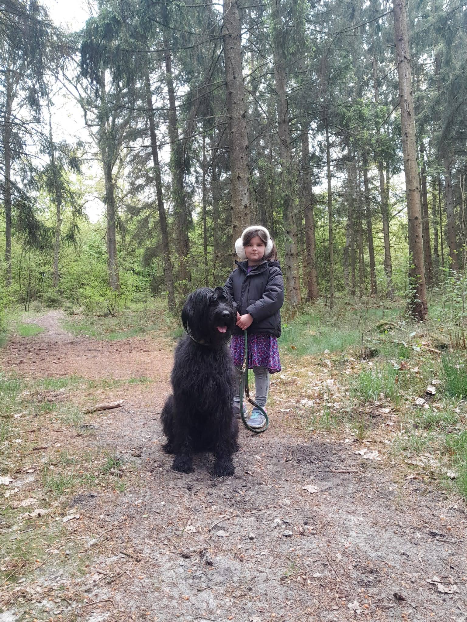 image-10