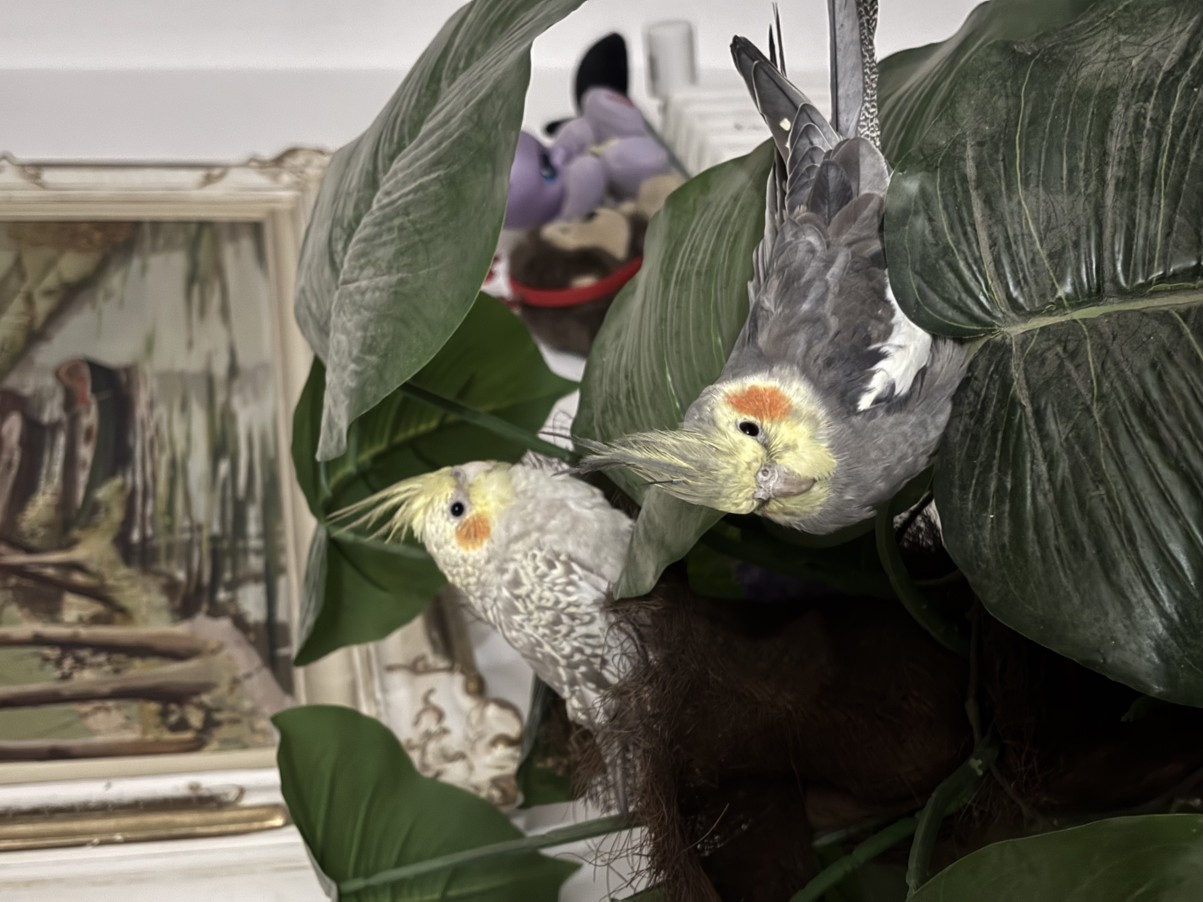 image-10