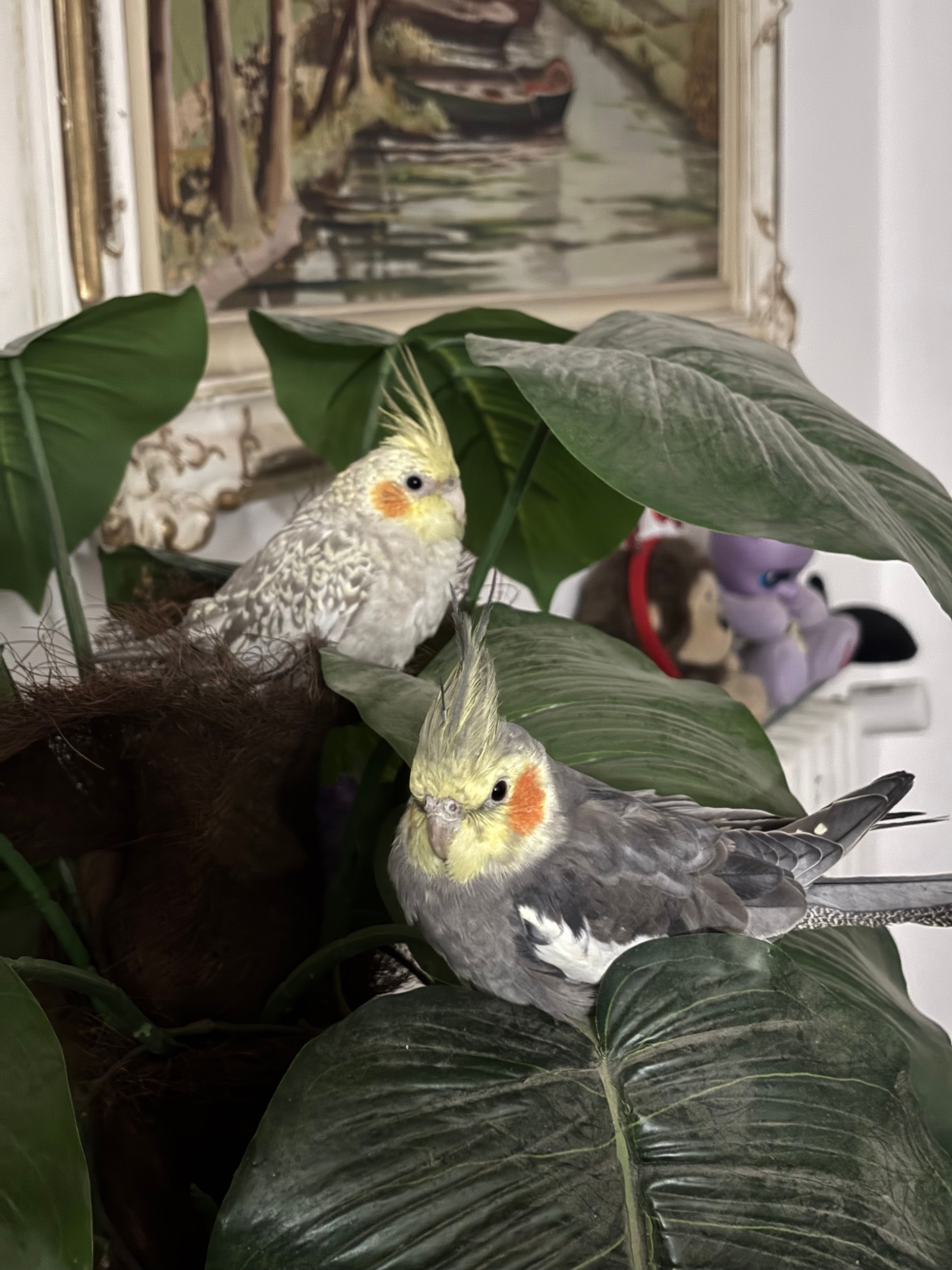 image-10