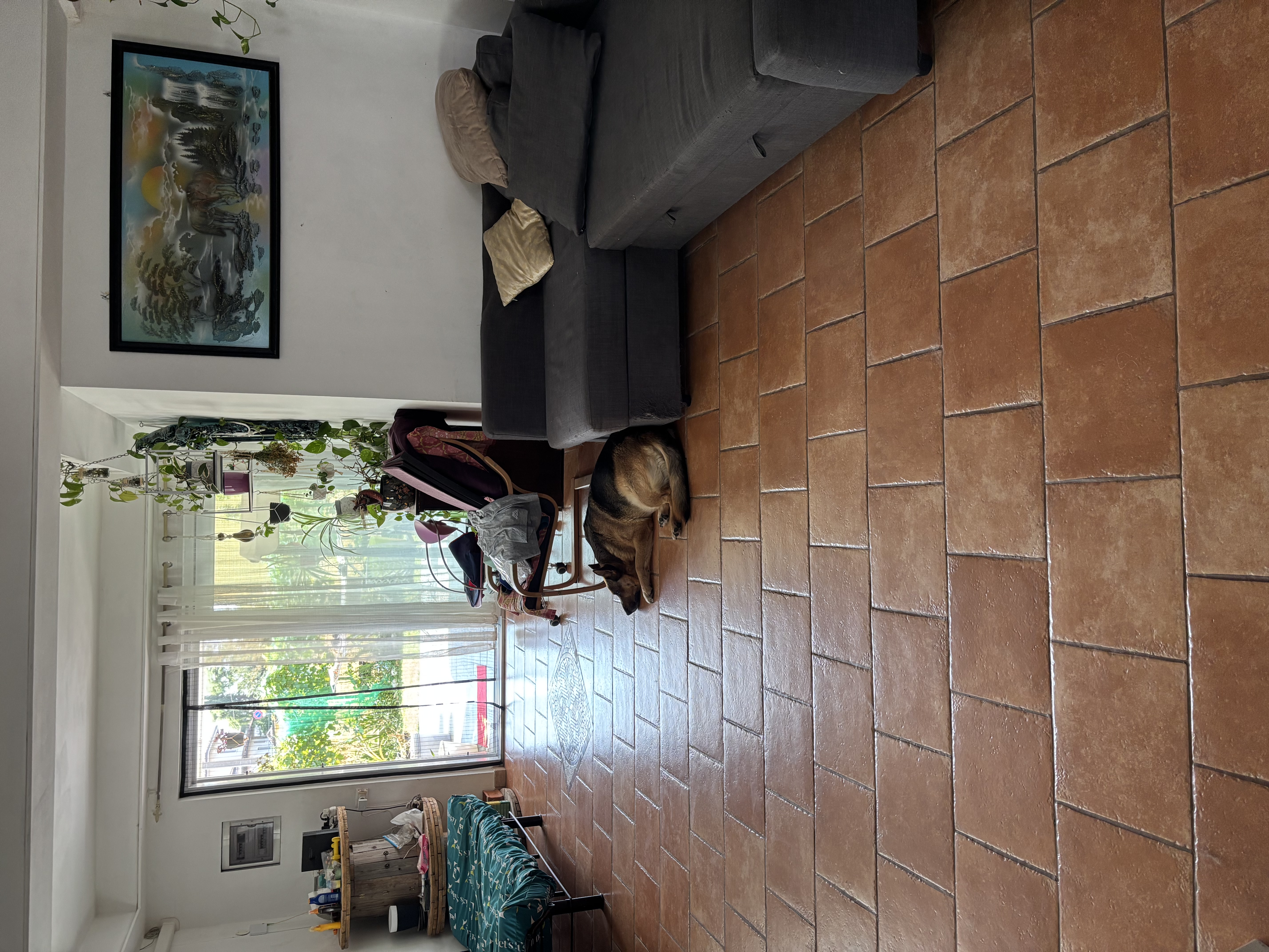 image-21