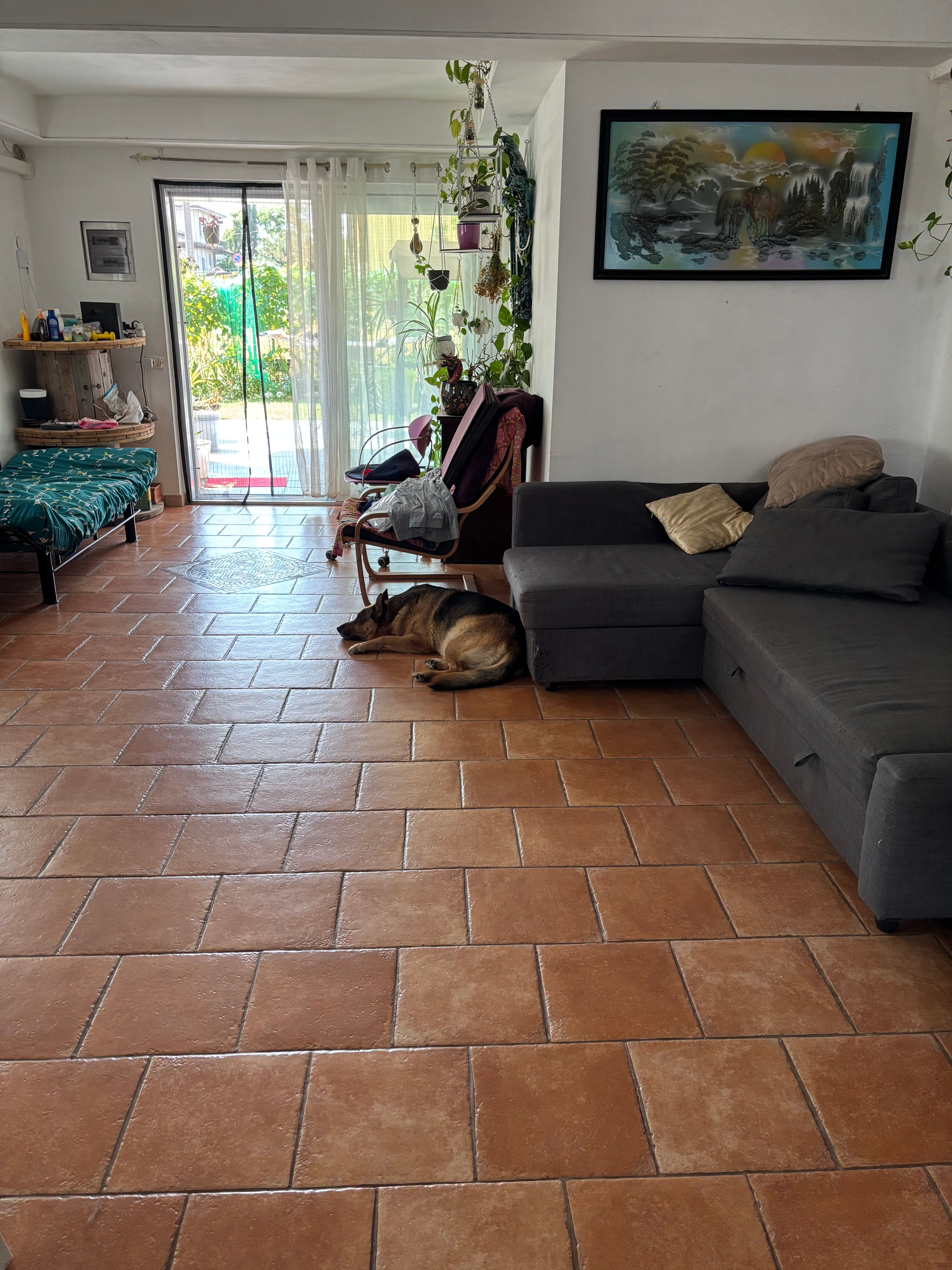 image-21
