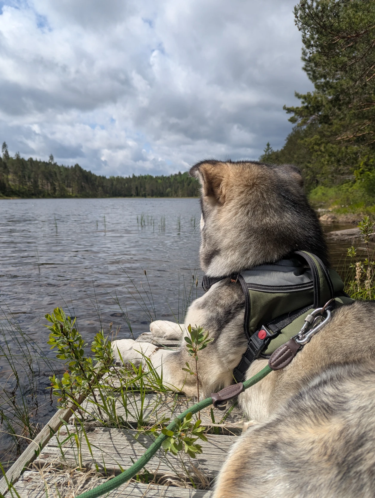 image-9