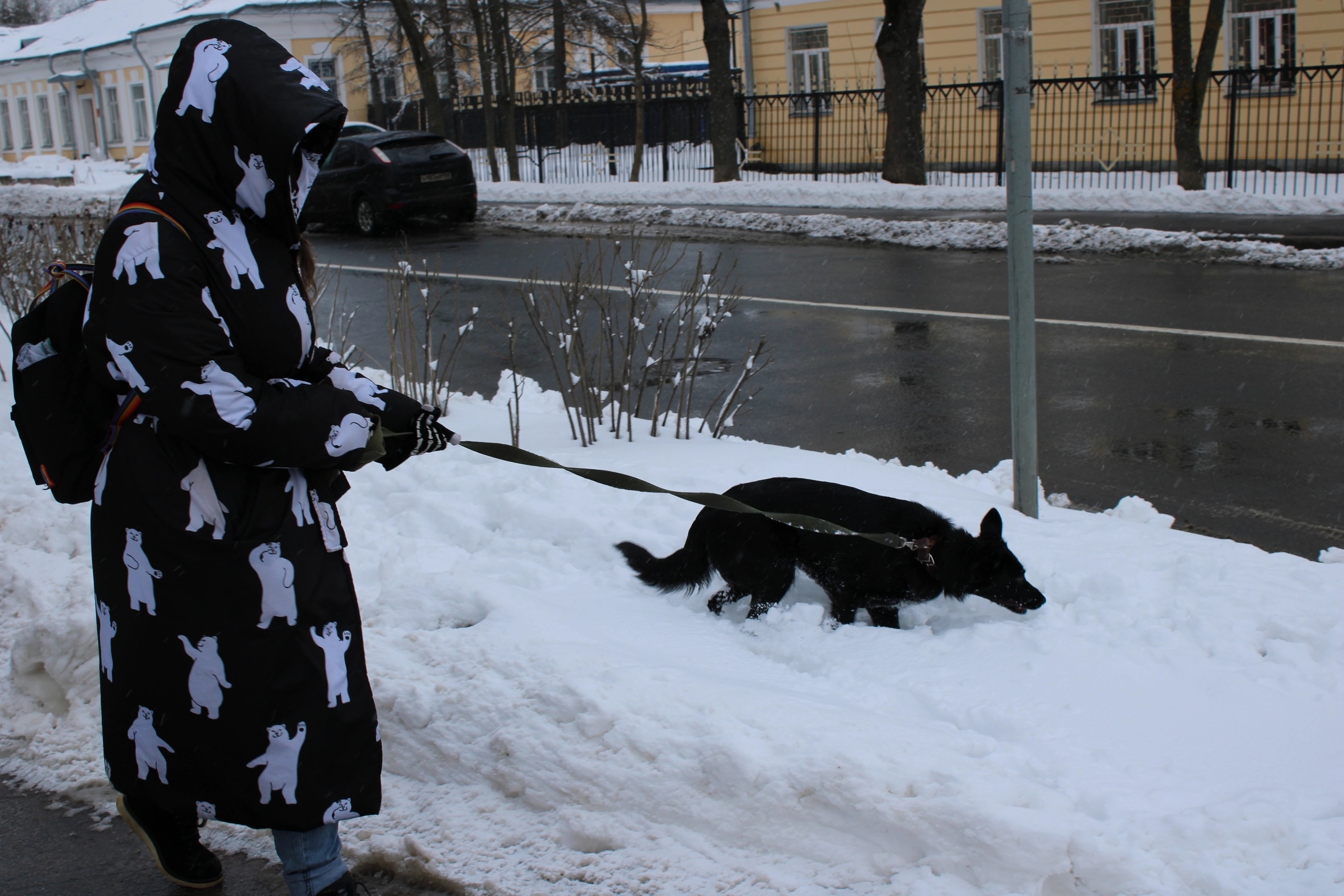 image-5