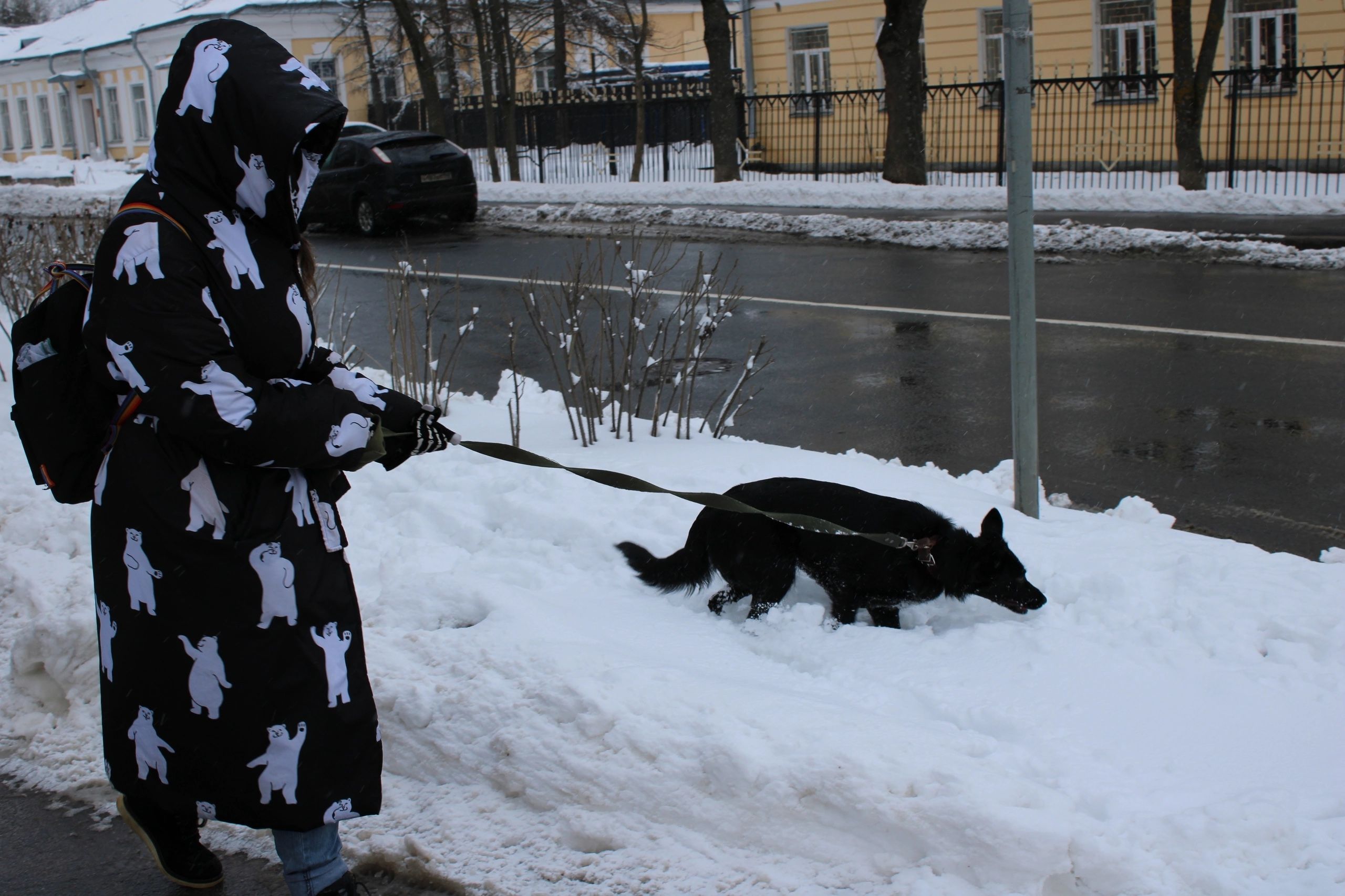 image-5
