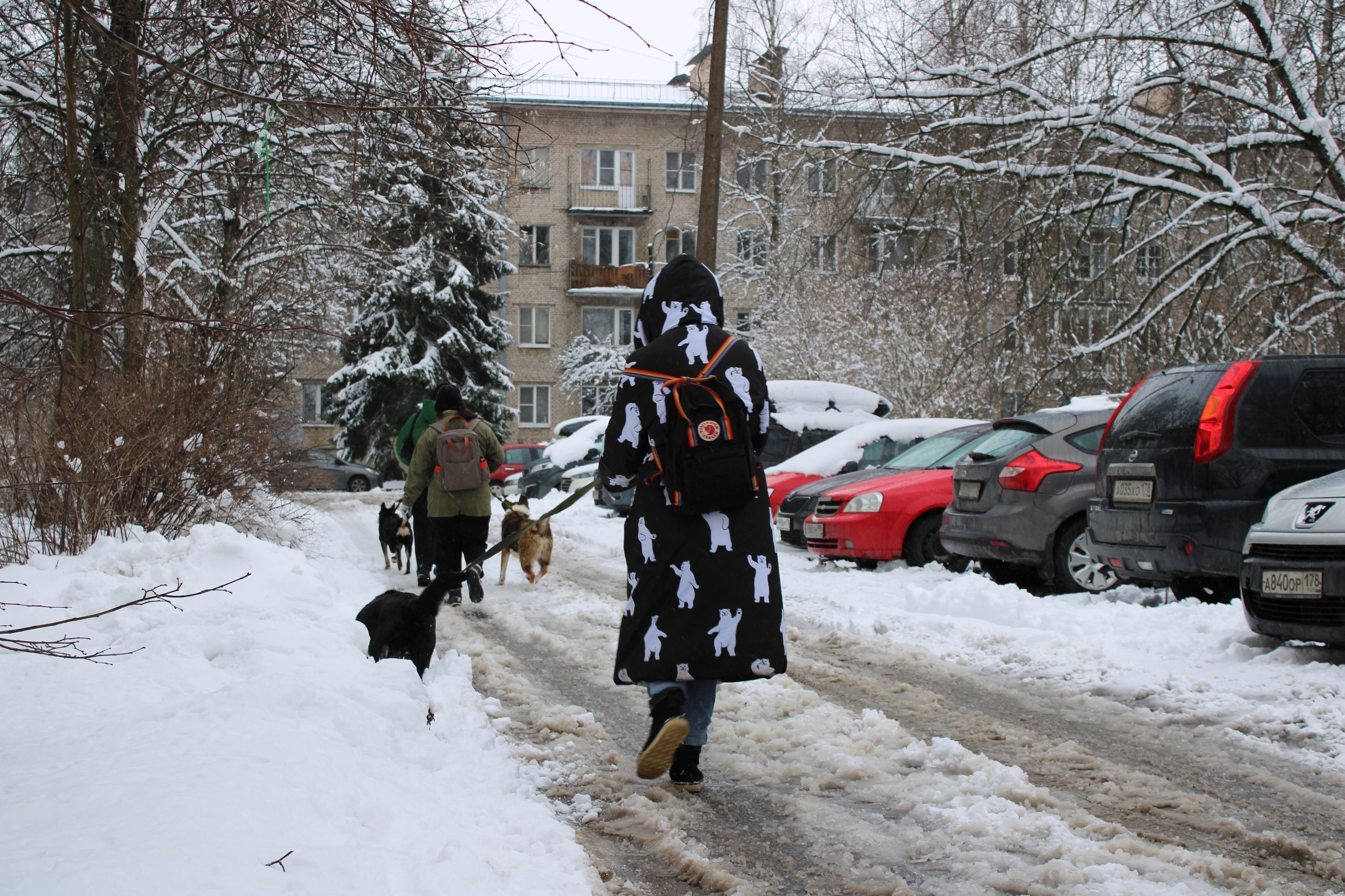 image-4