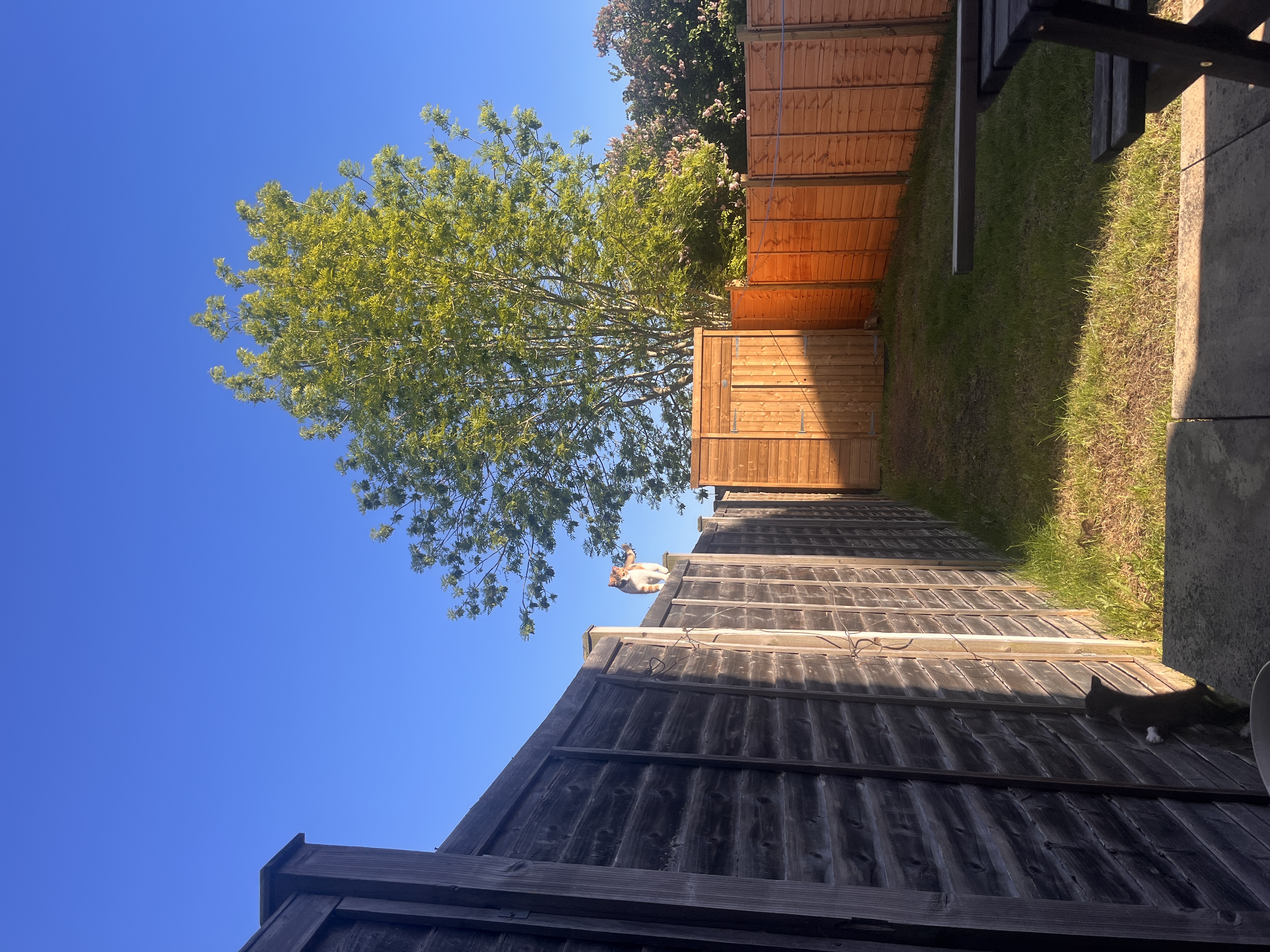 image-14