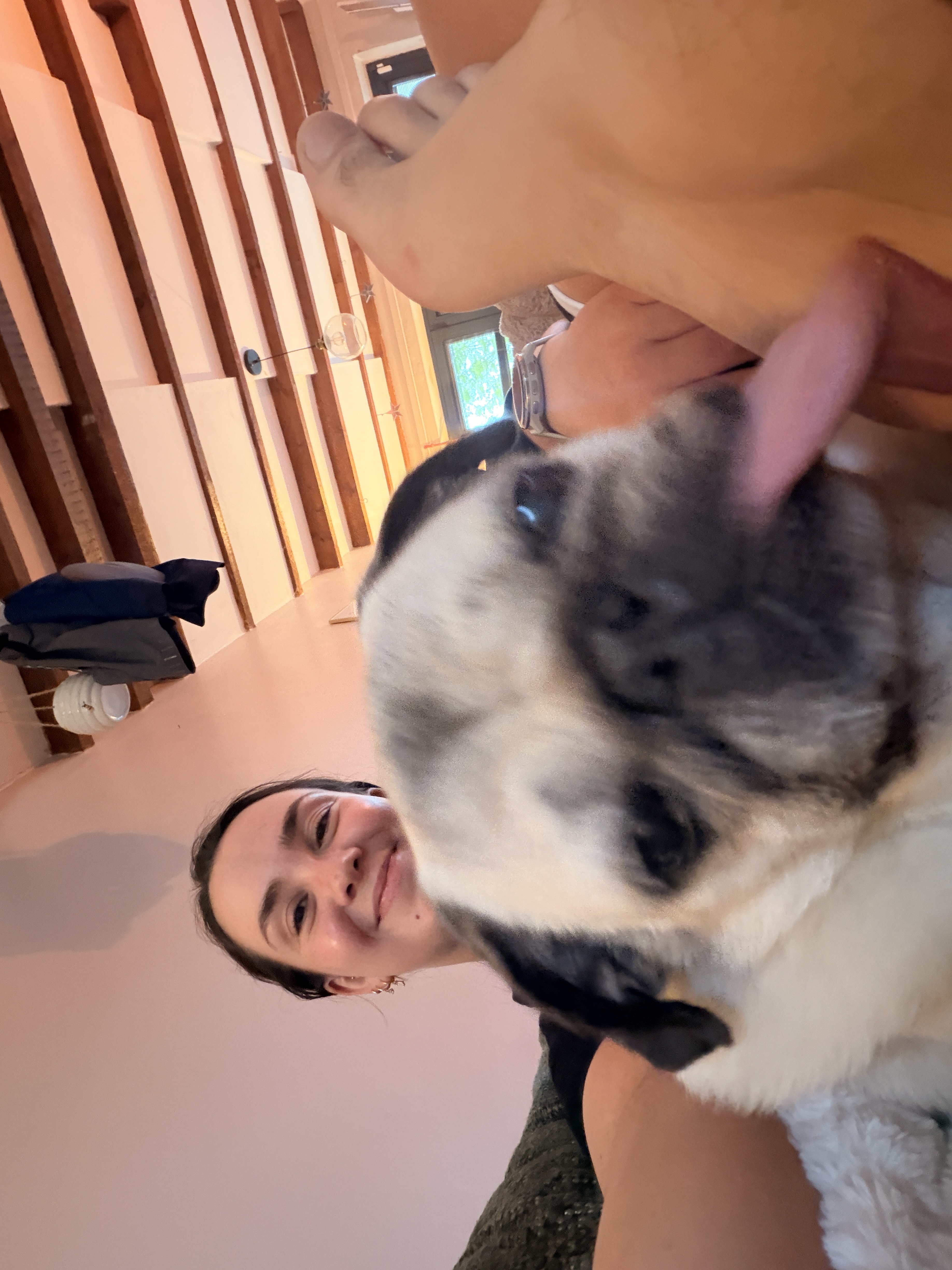 image-8