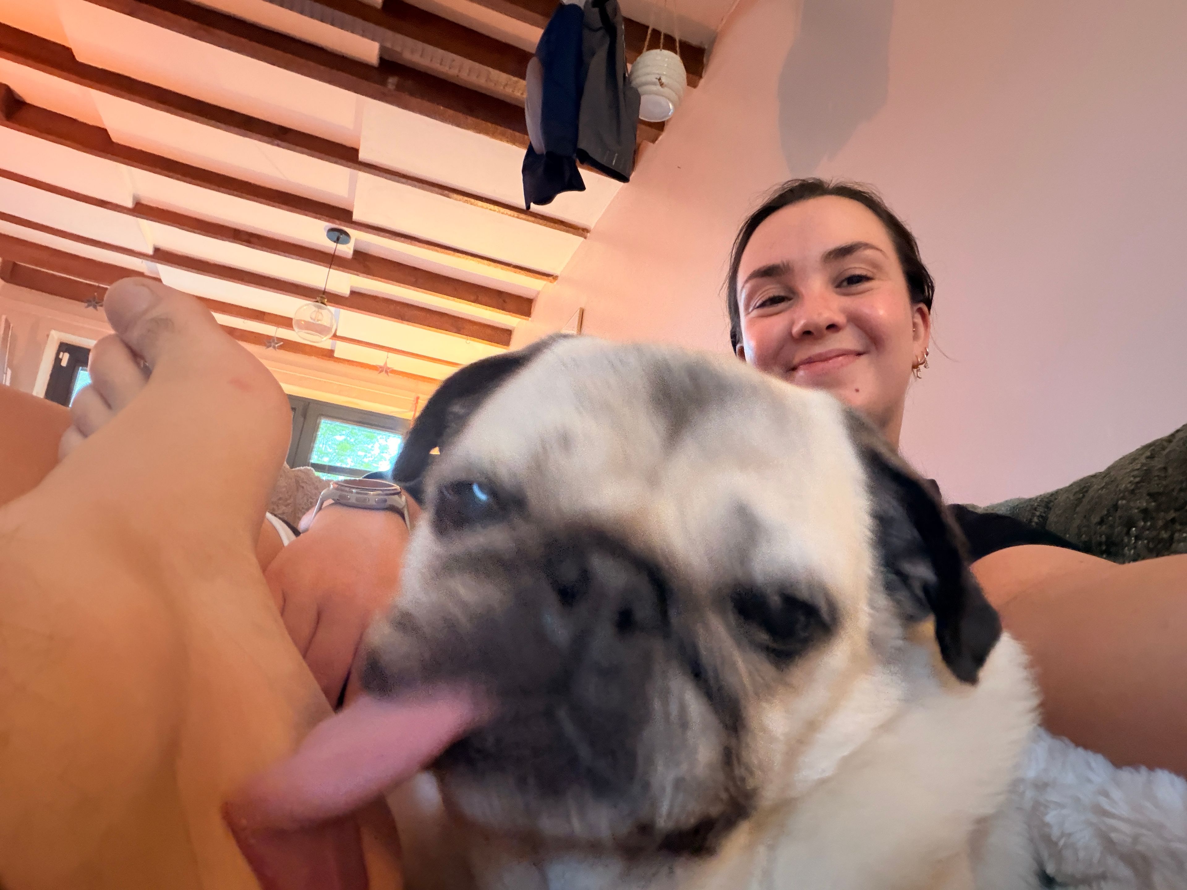 image-8
