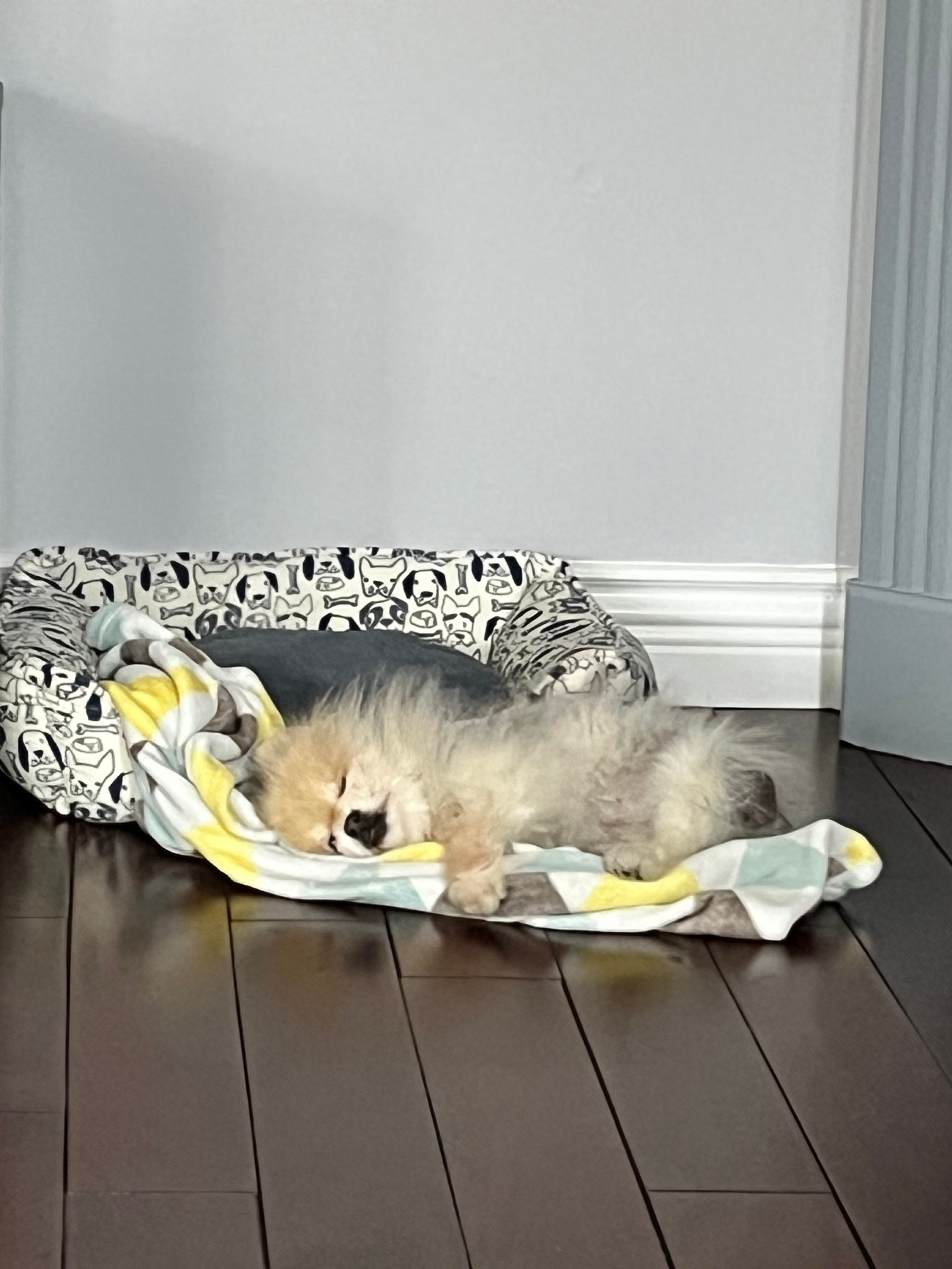 image-9