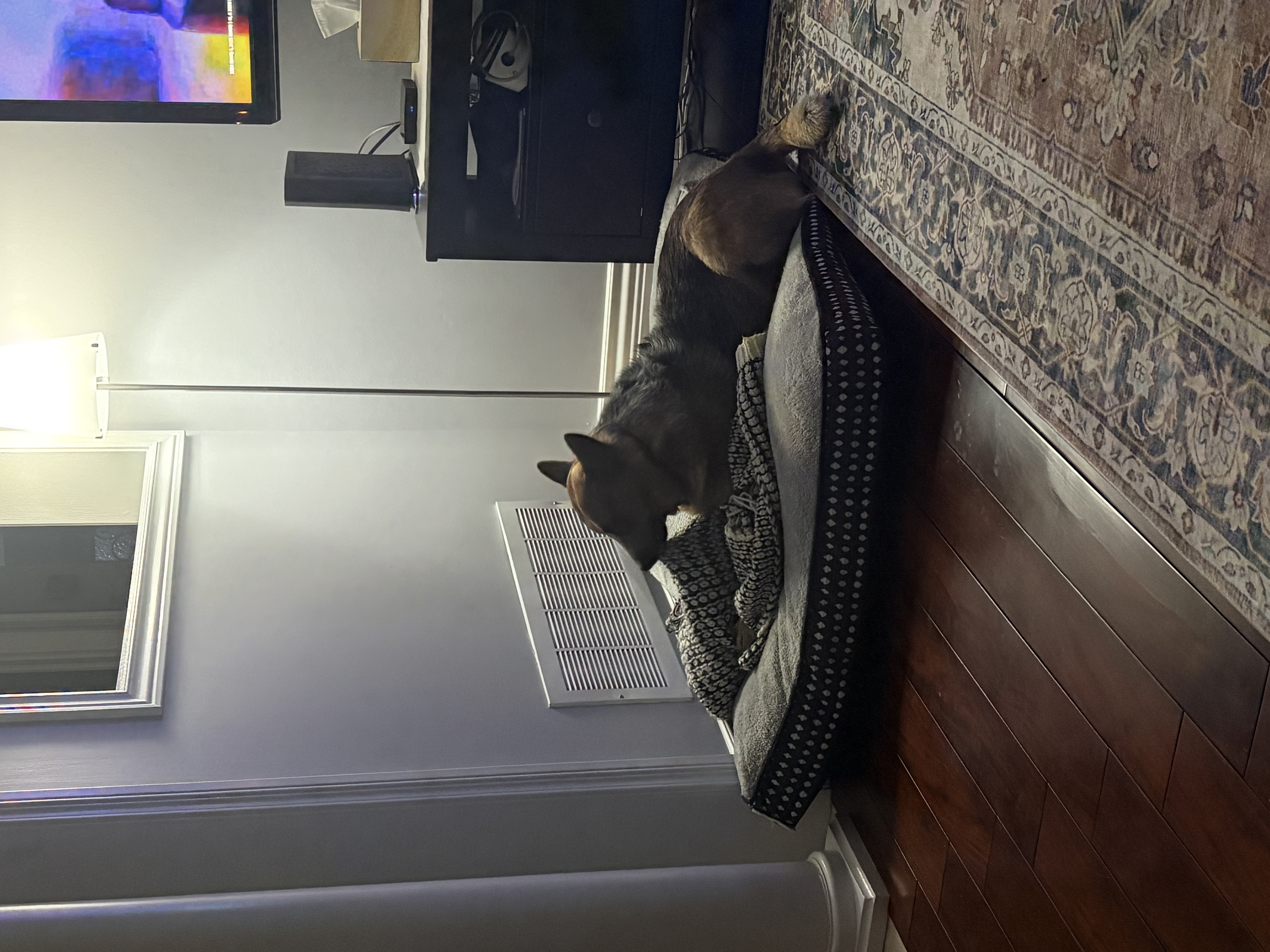 image-10