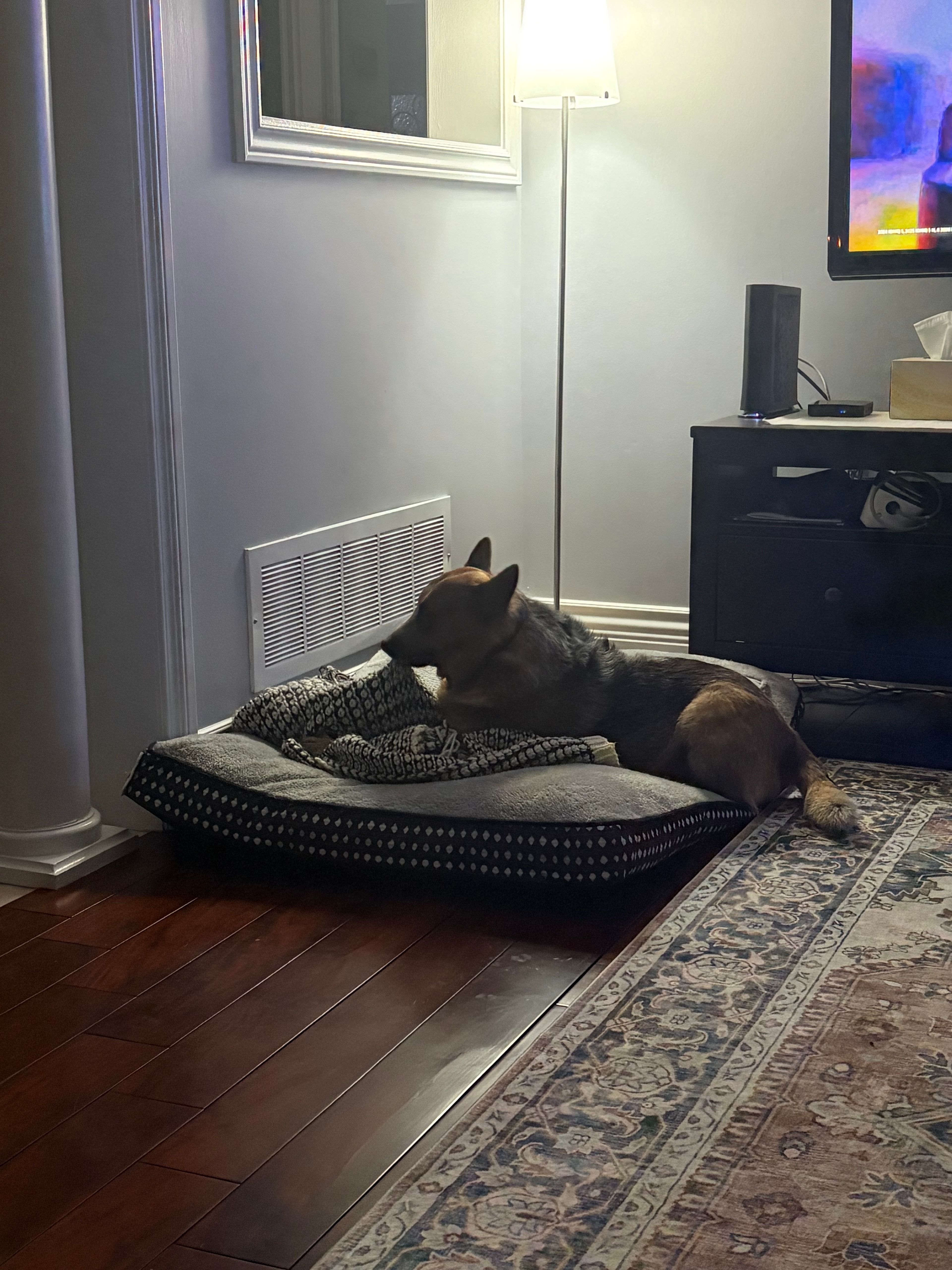 image-10