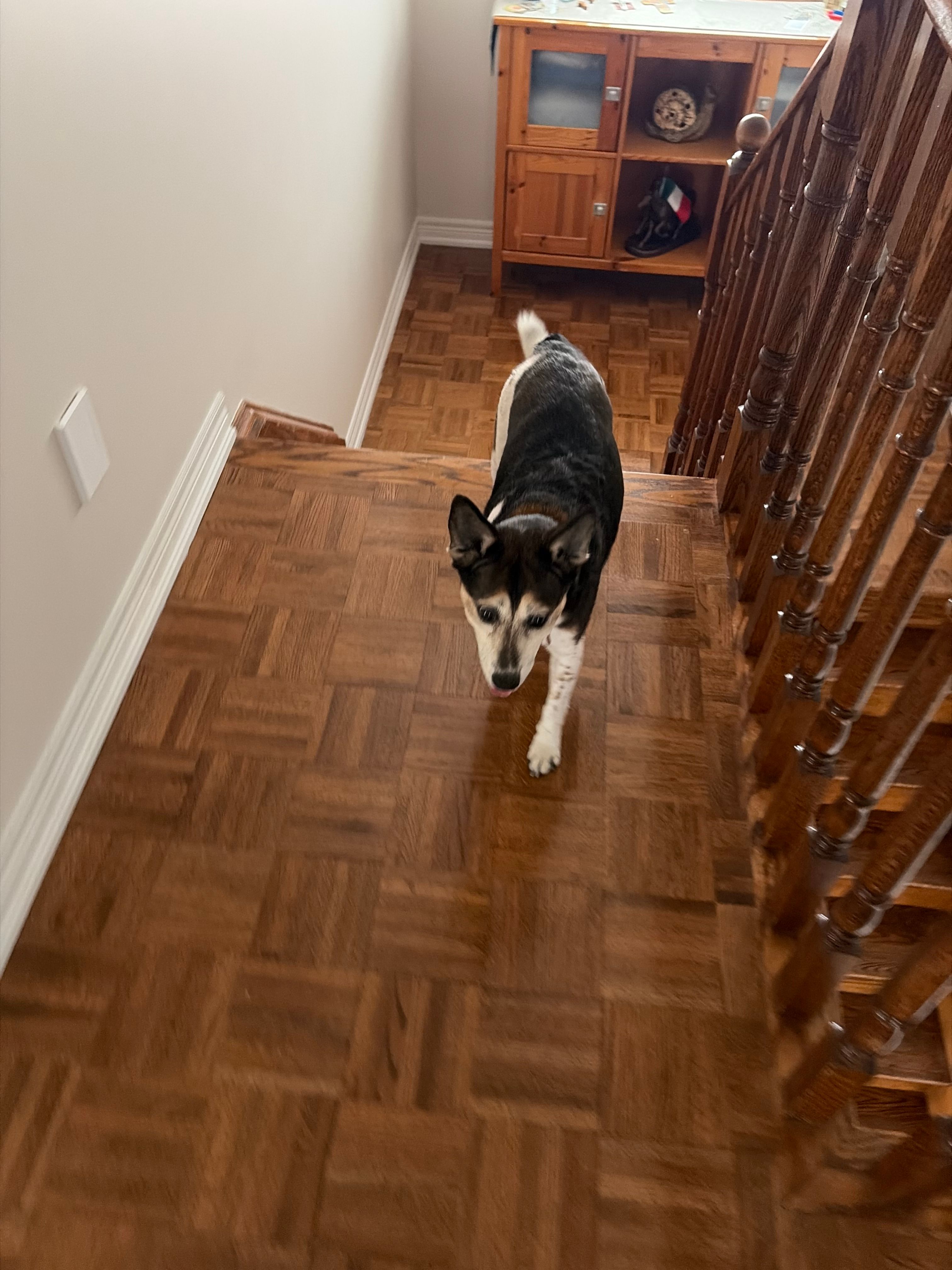 image-11