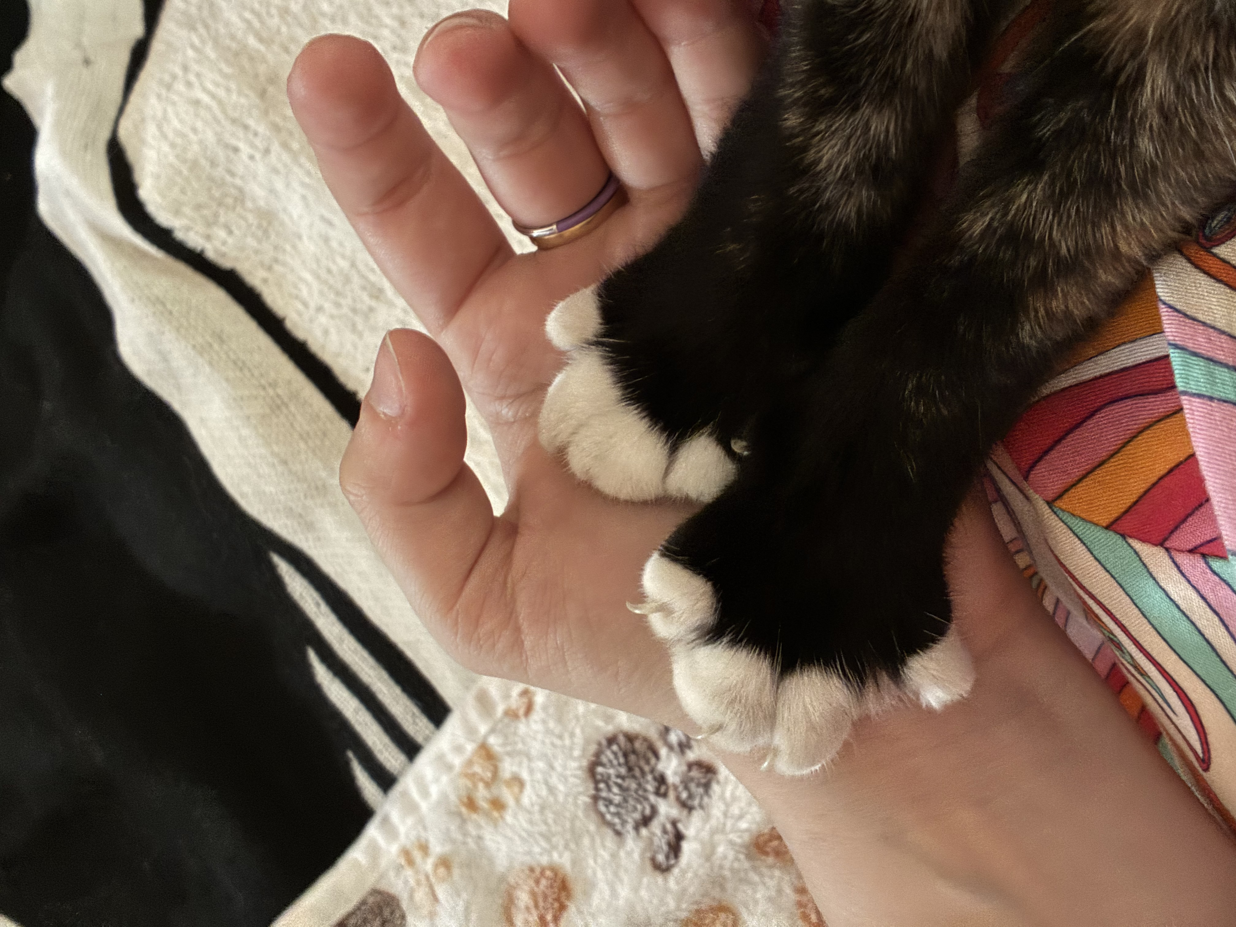 image-5