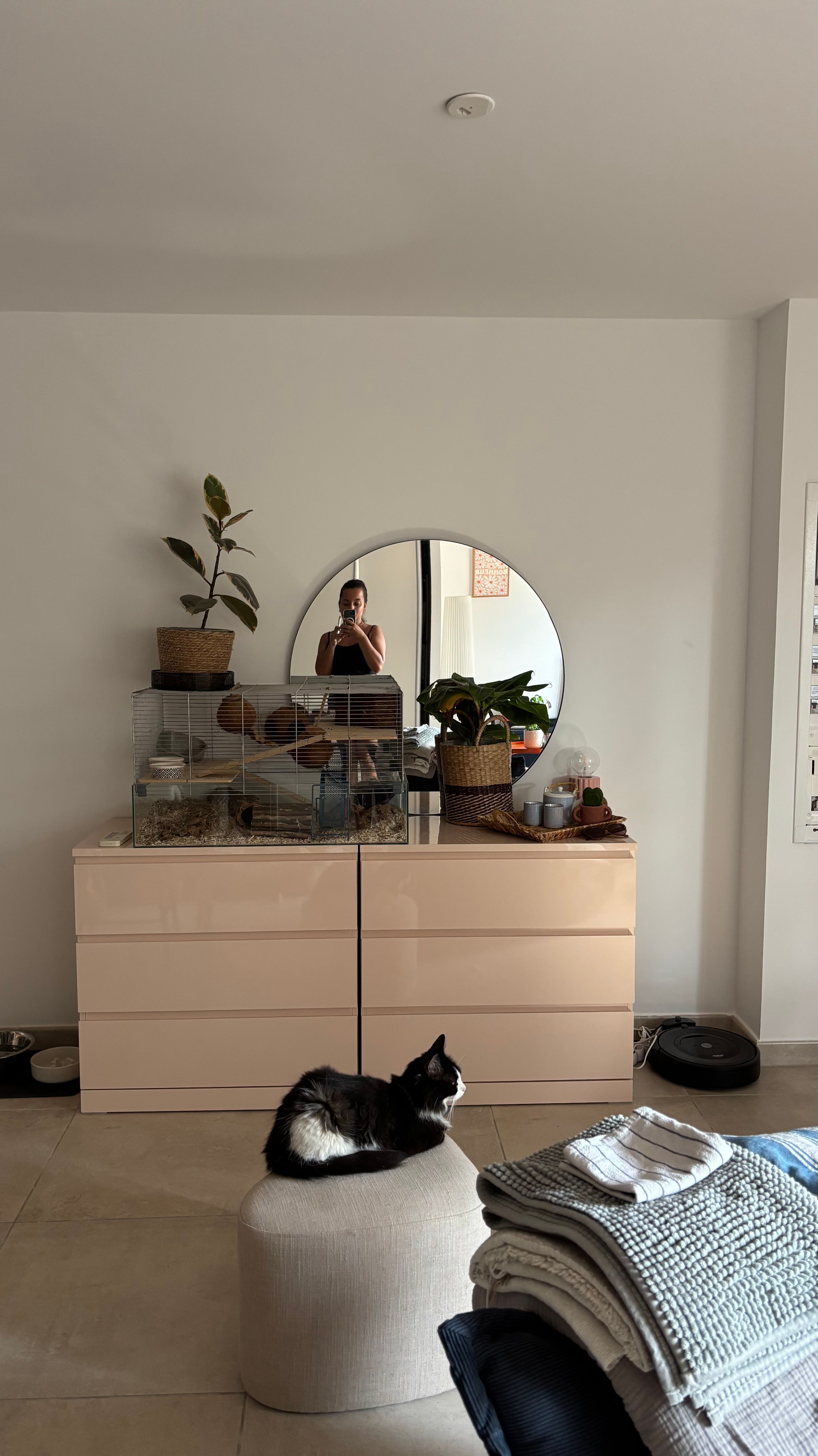 image-10
