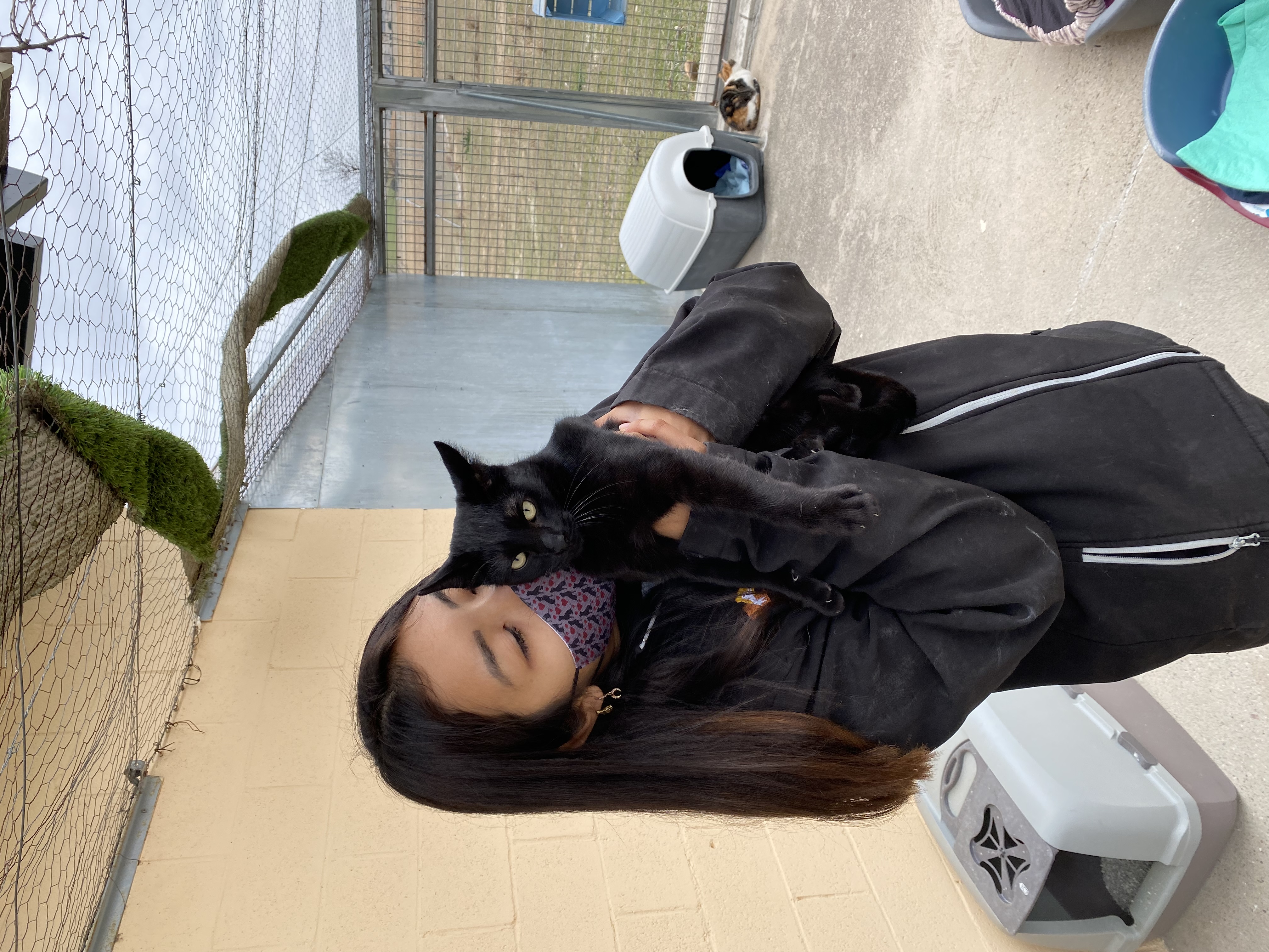 image-16