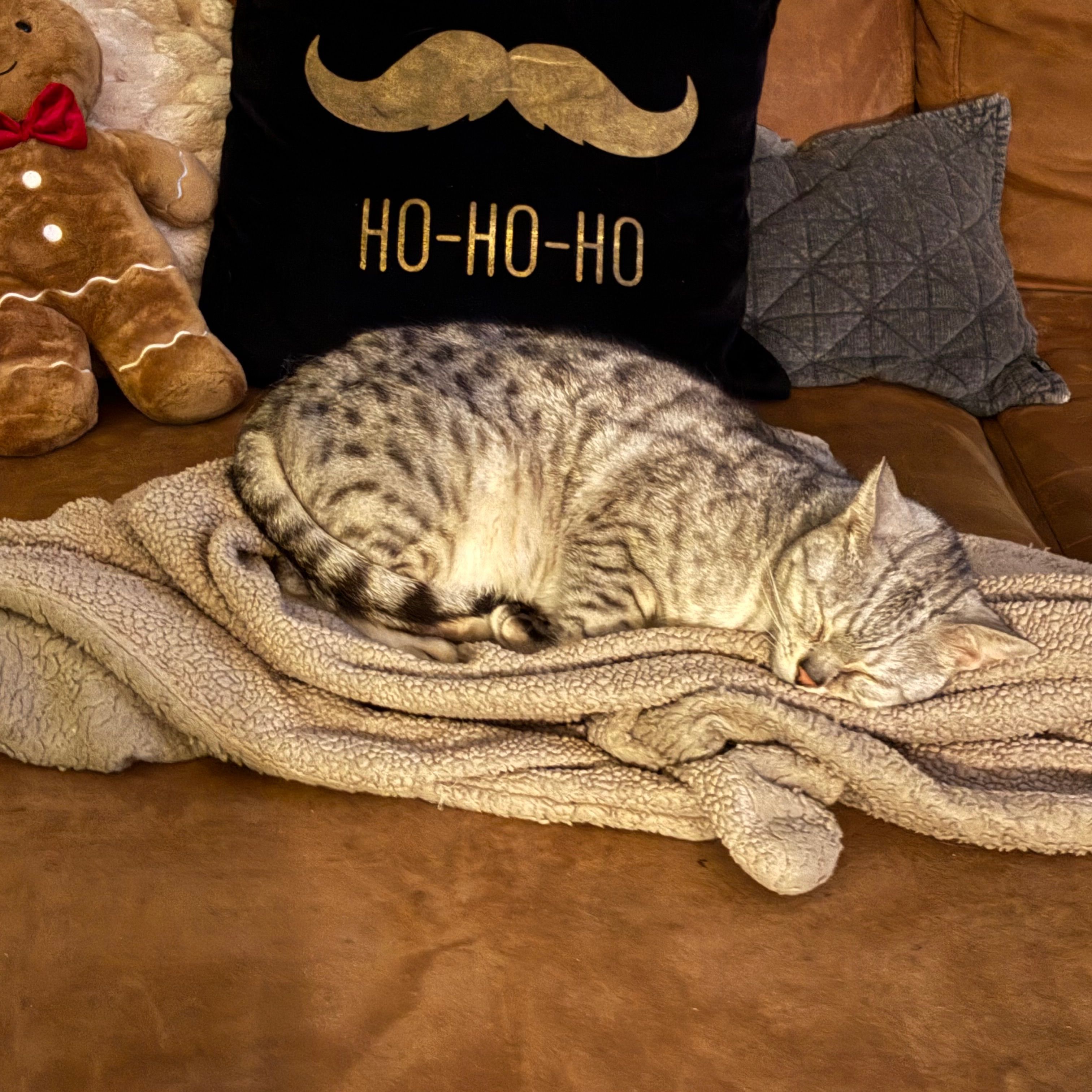Loki
