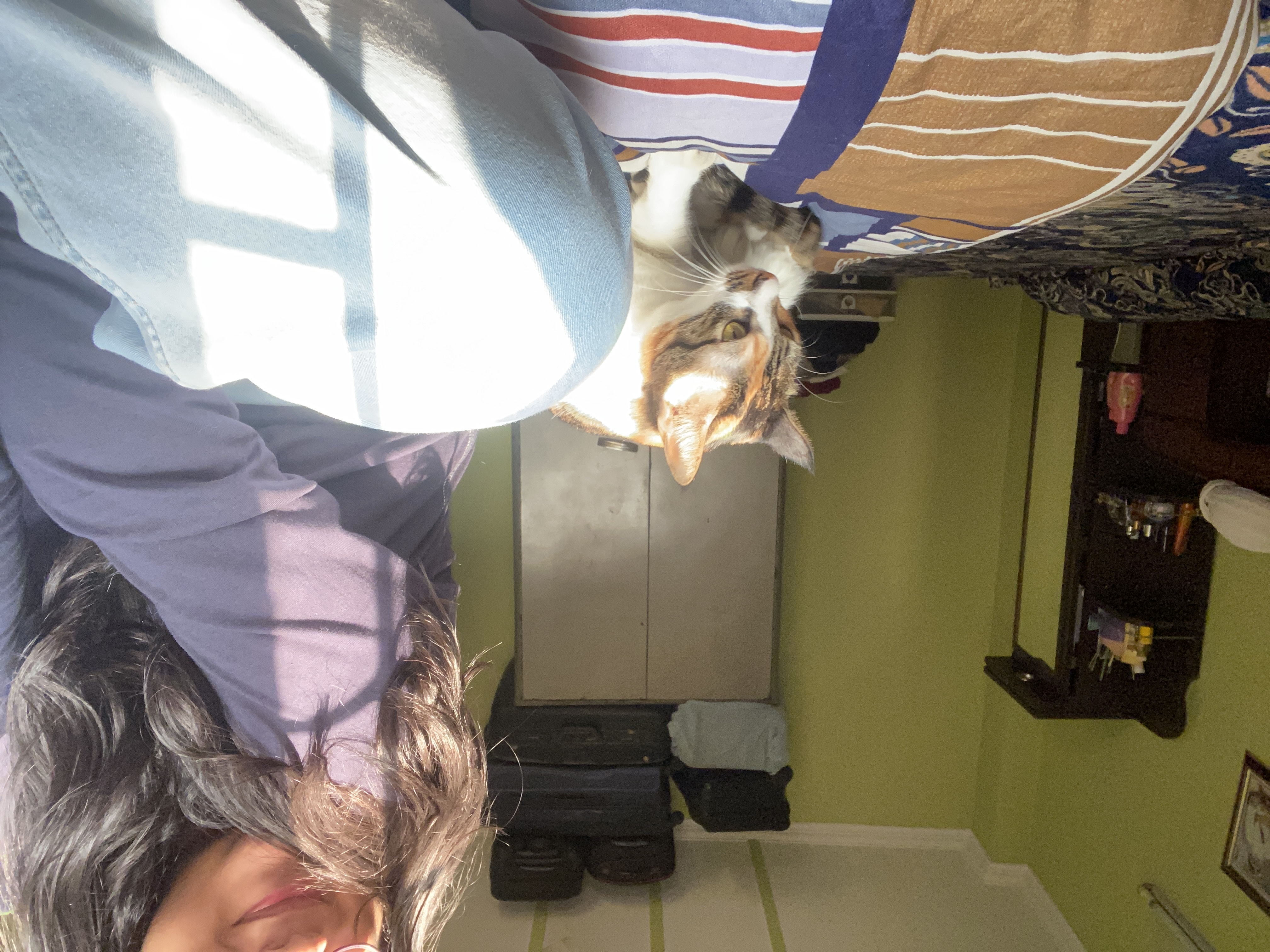 image-7