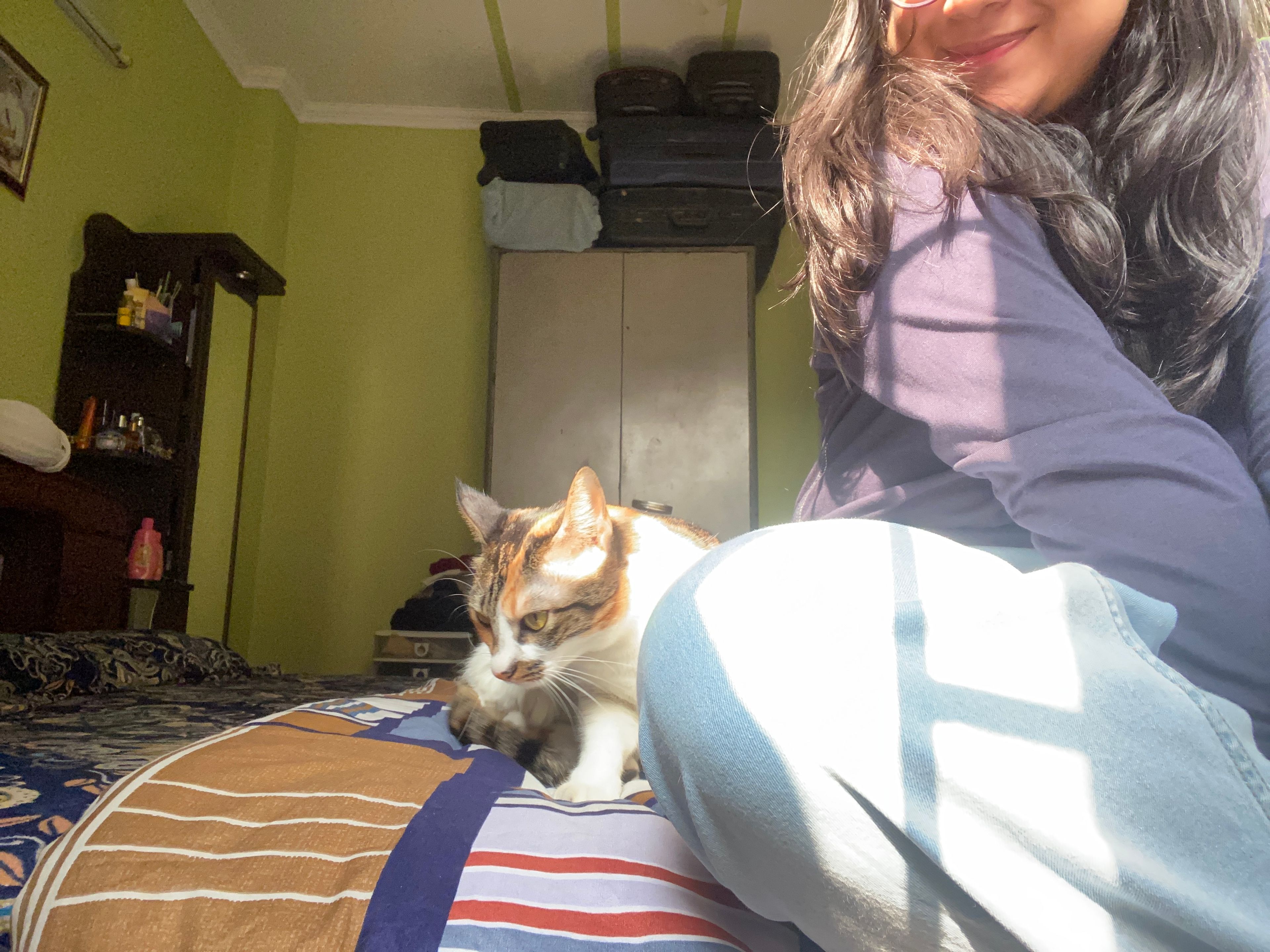 image-7