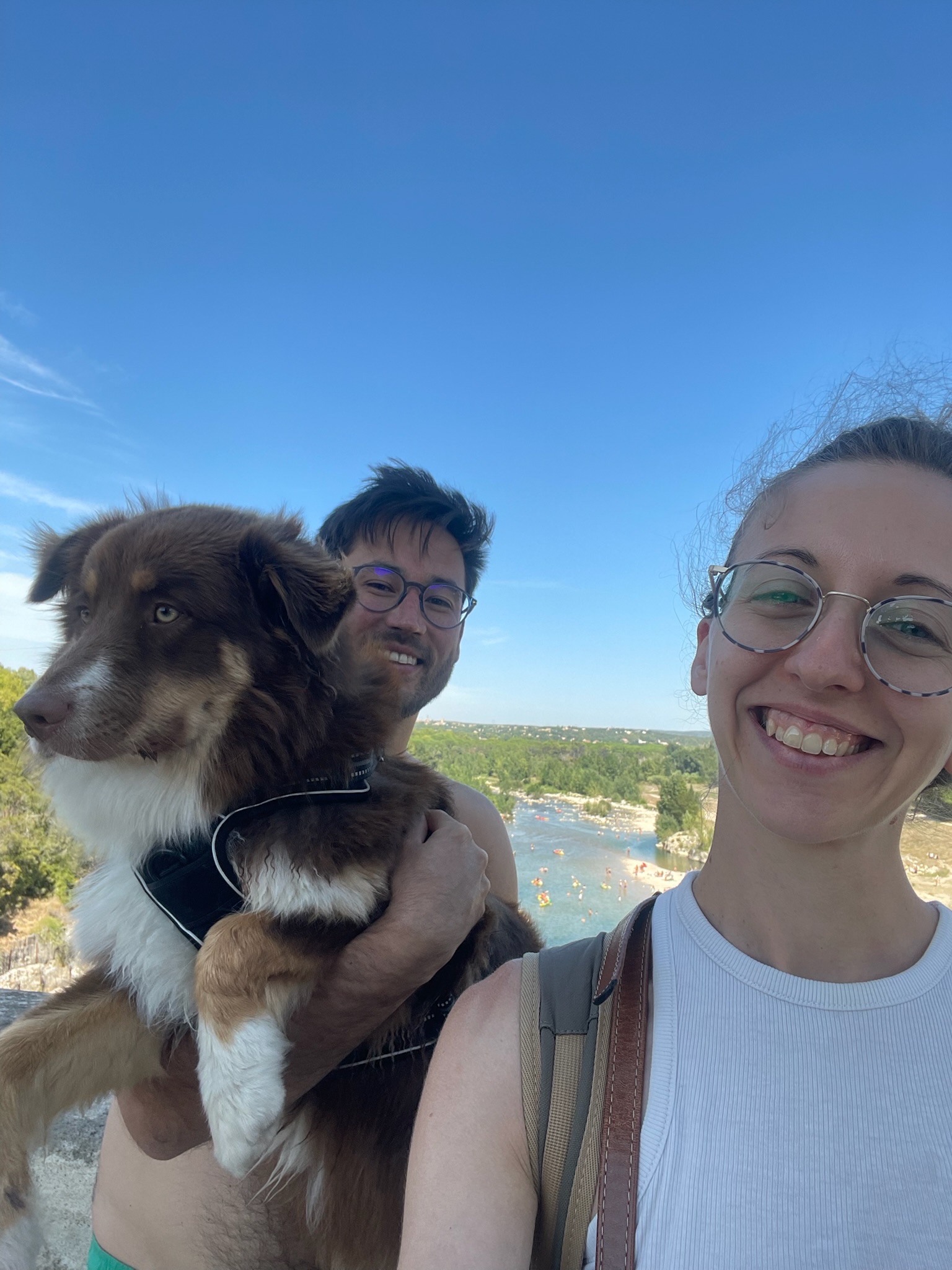 image-8