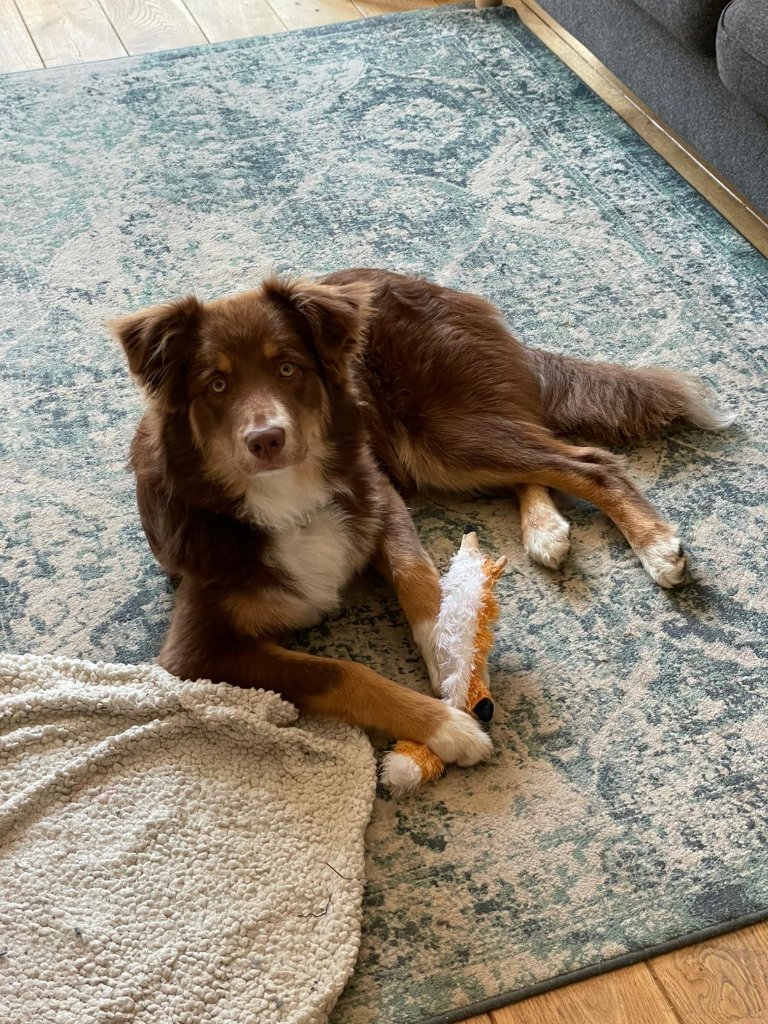 Misha