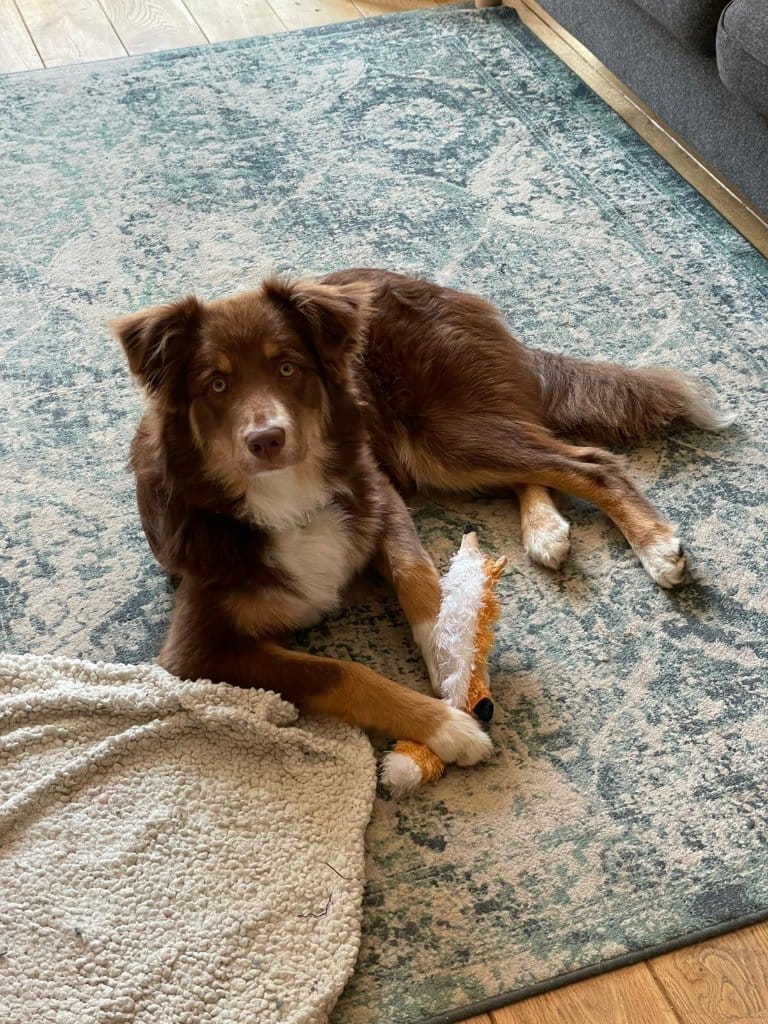 Misha