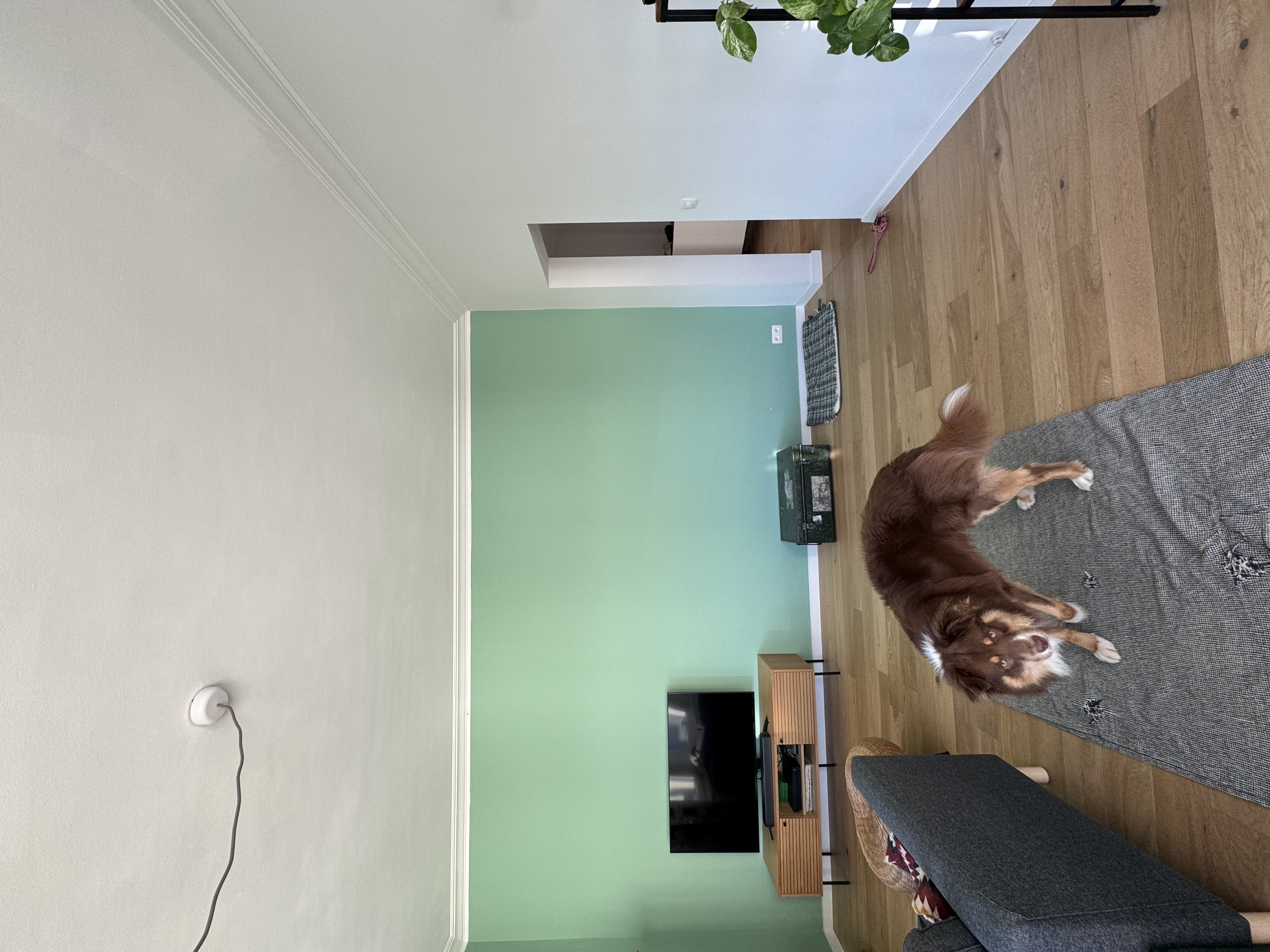 image-14
