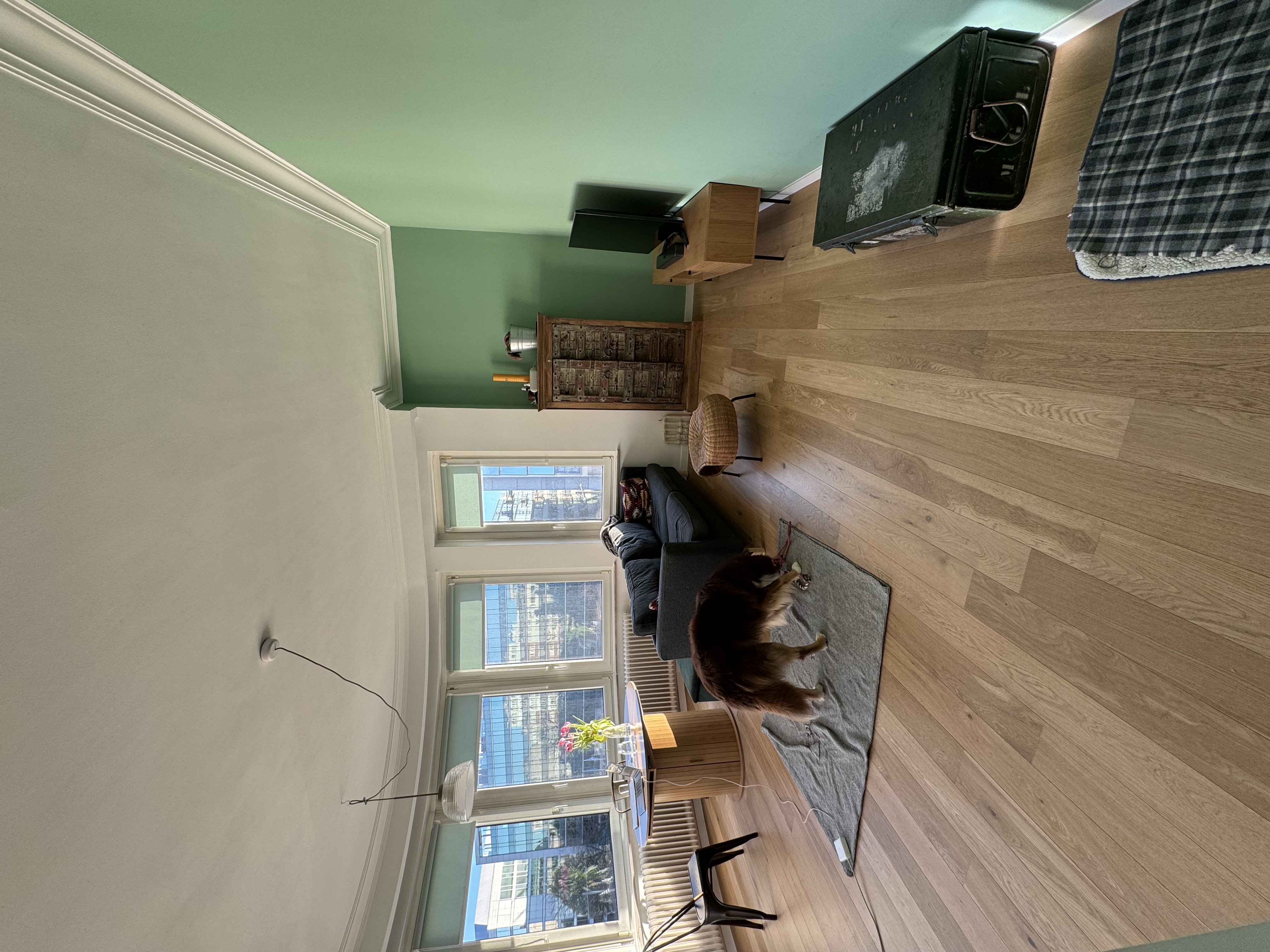 image-12