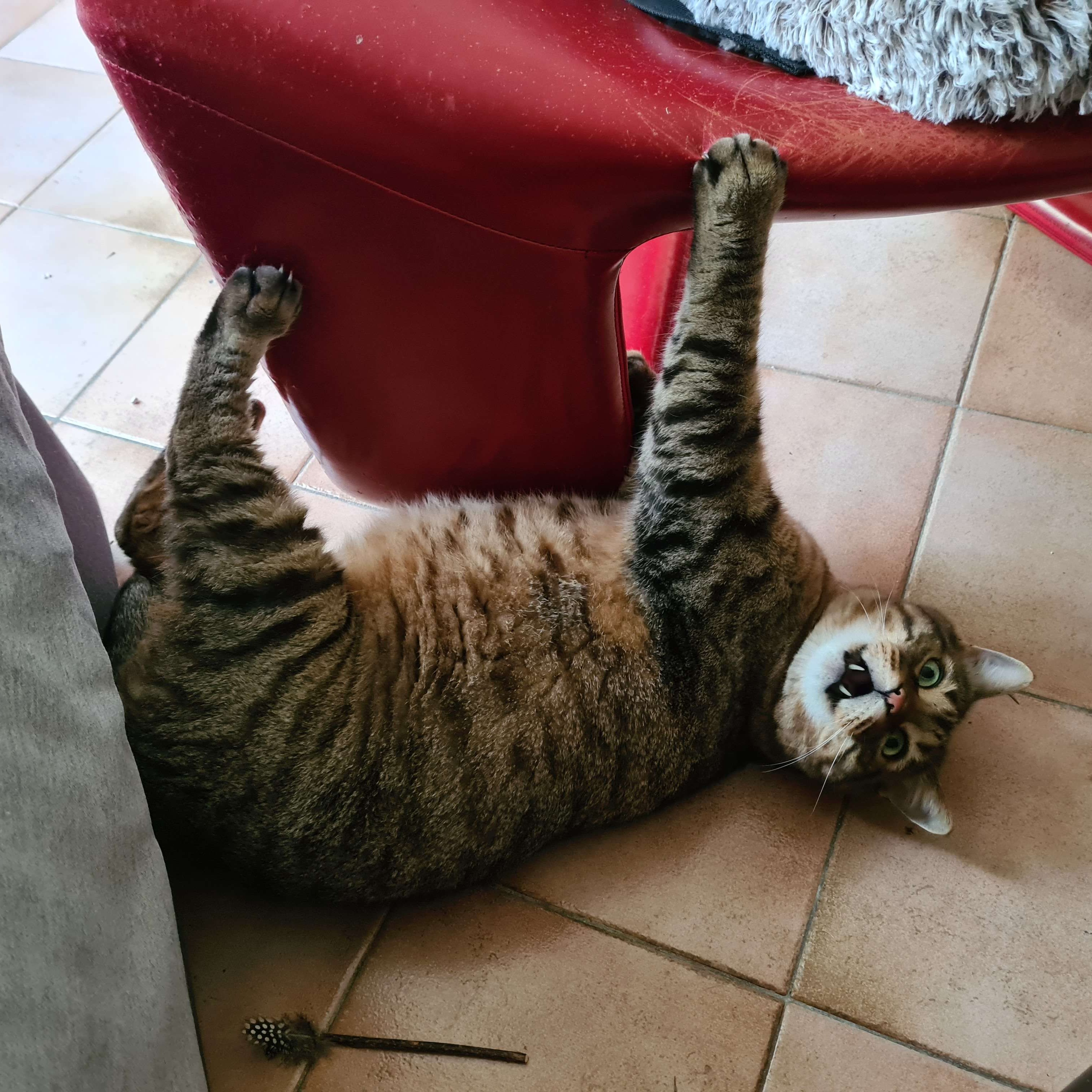 Philippe