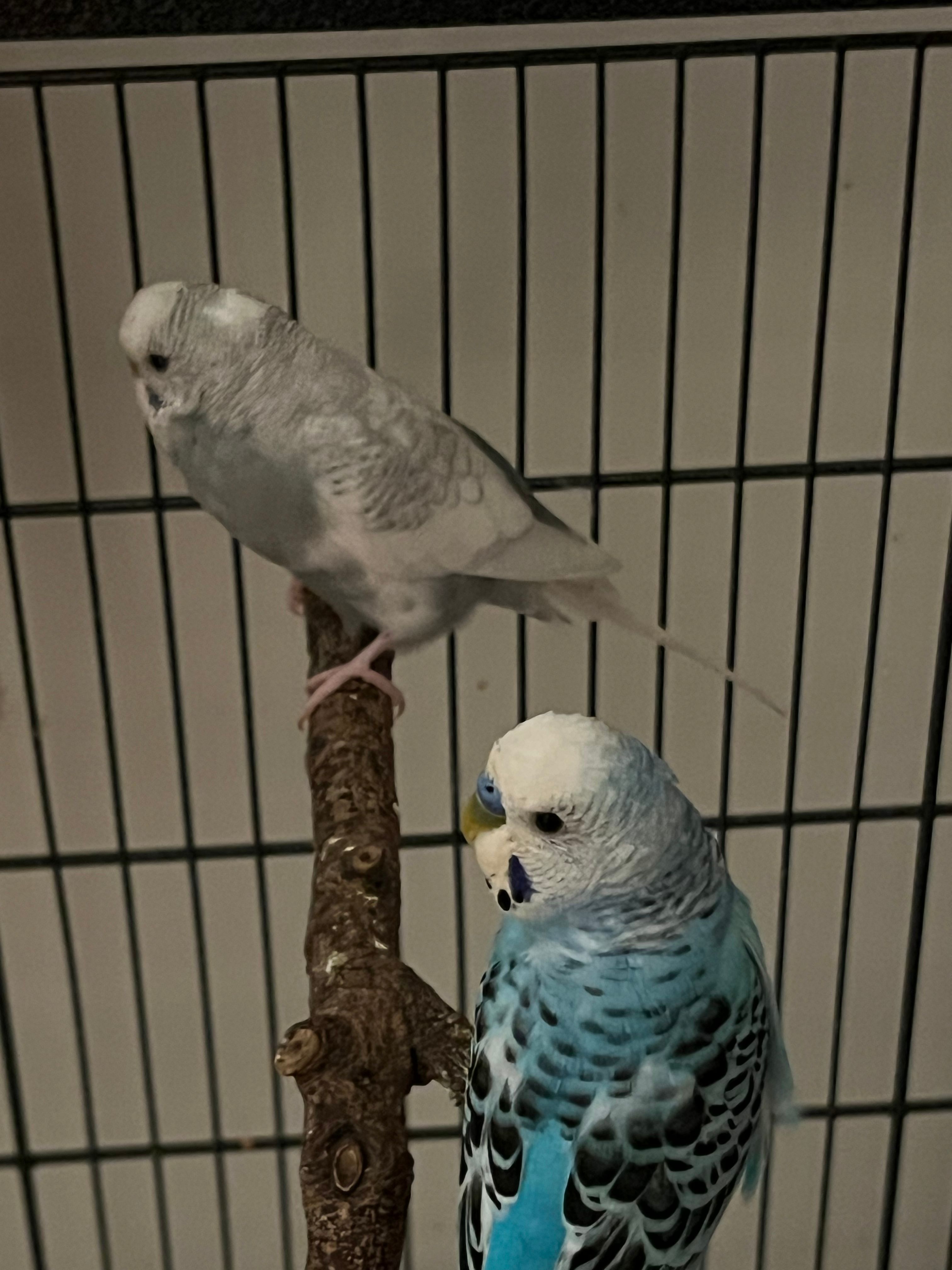 image-17