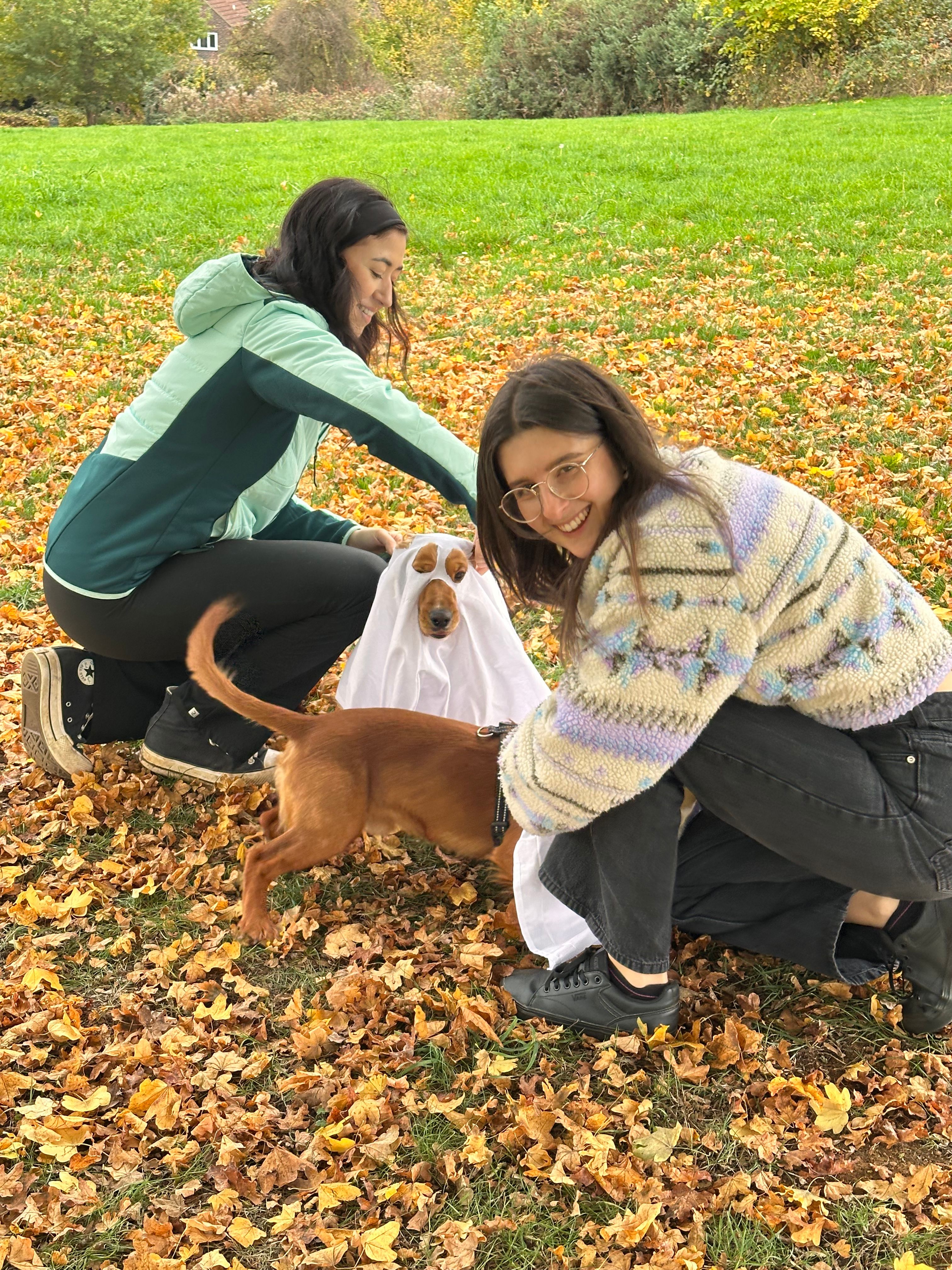image-11