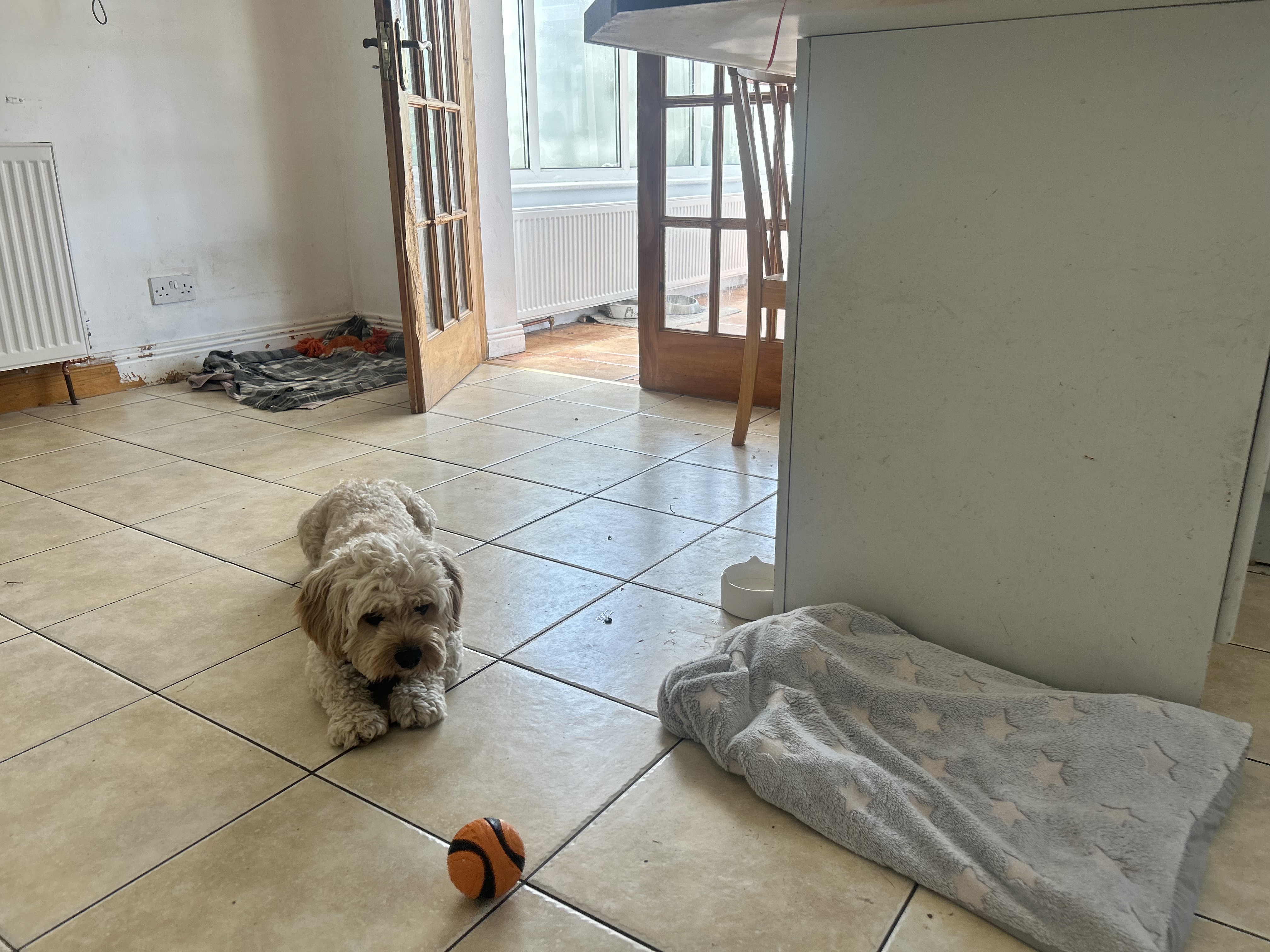 image-37
