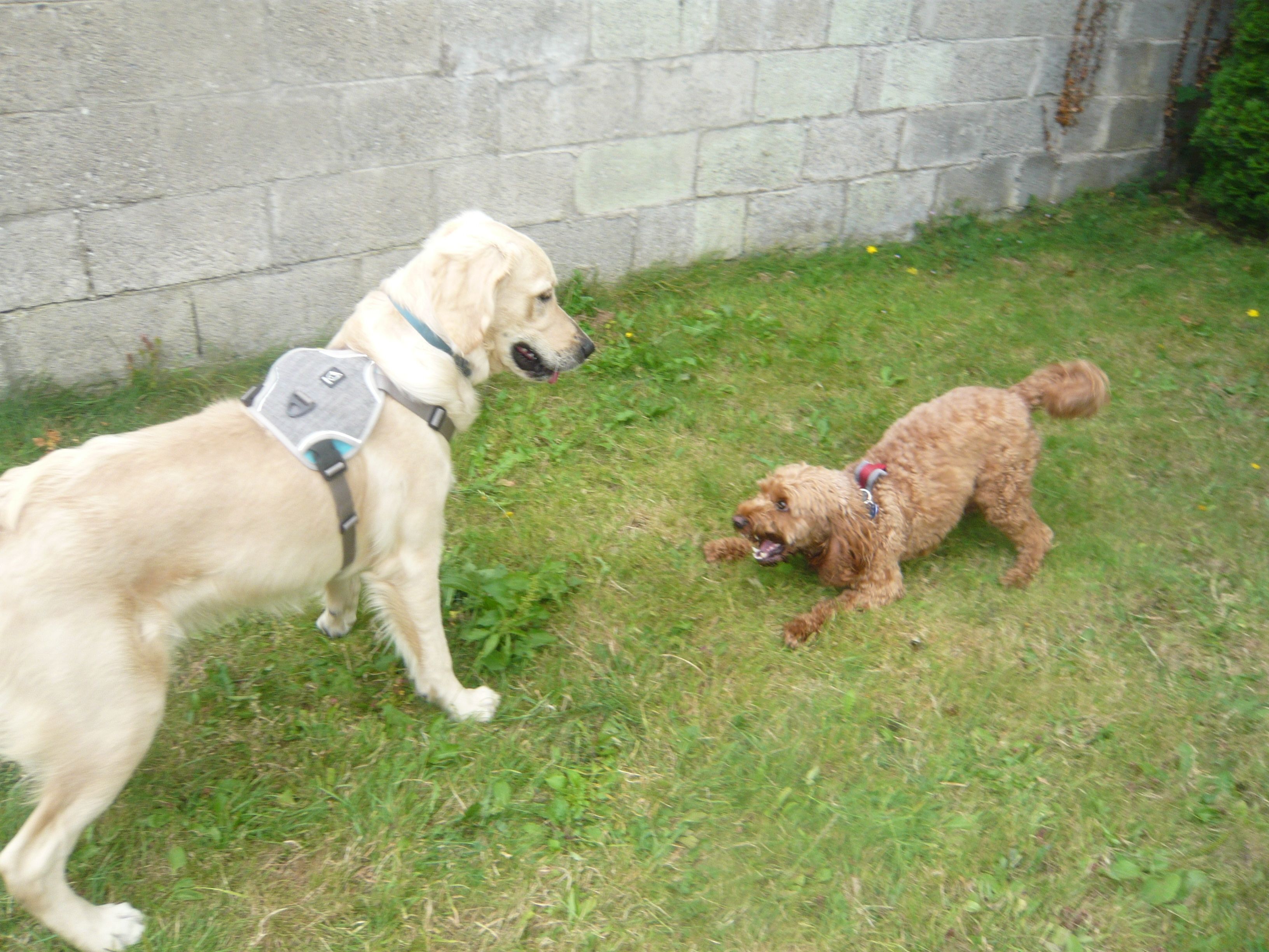 image-36