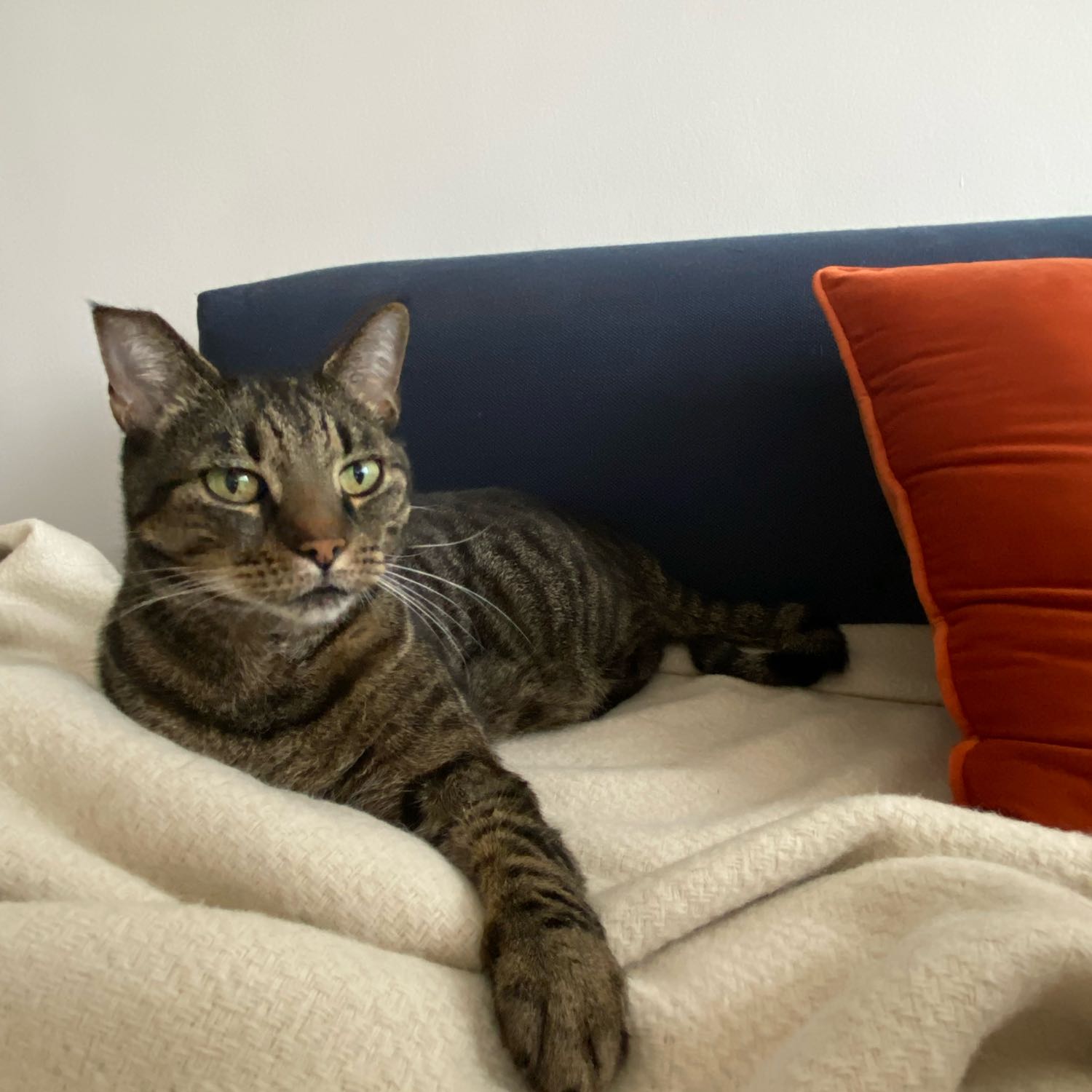Greetje