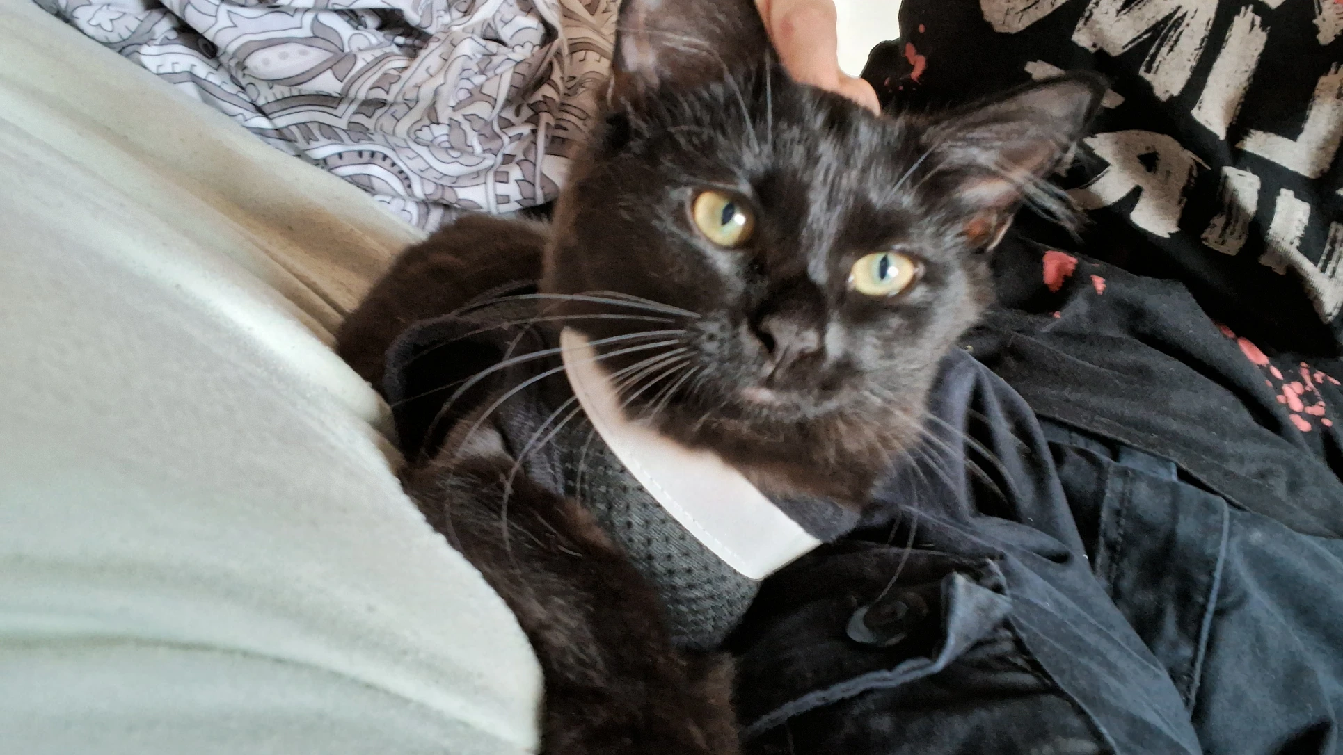 image-6