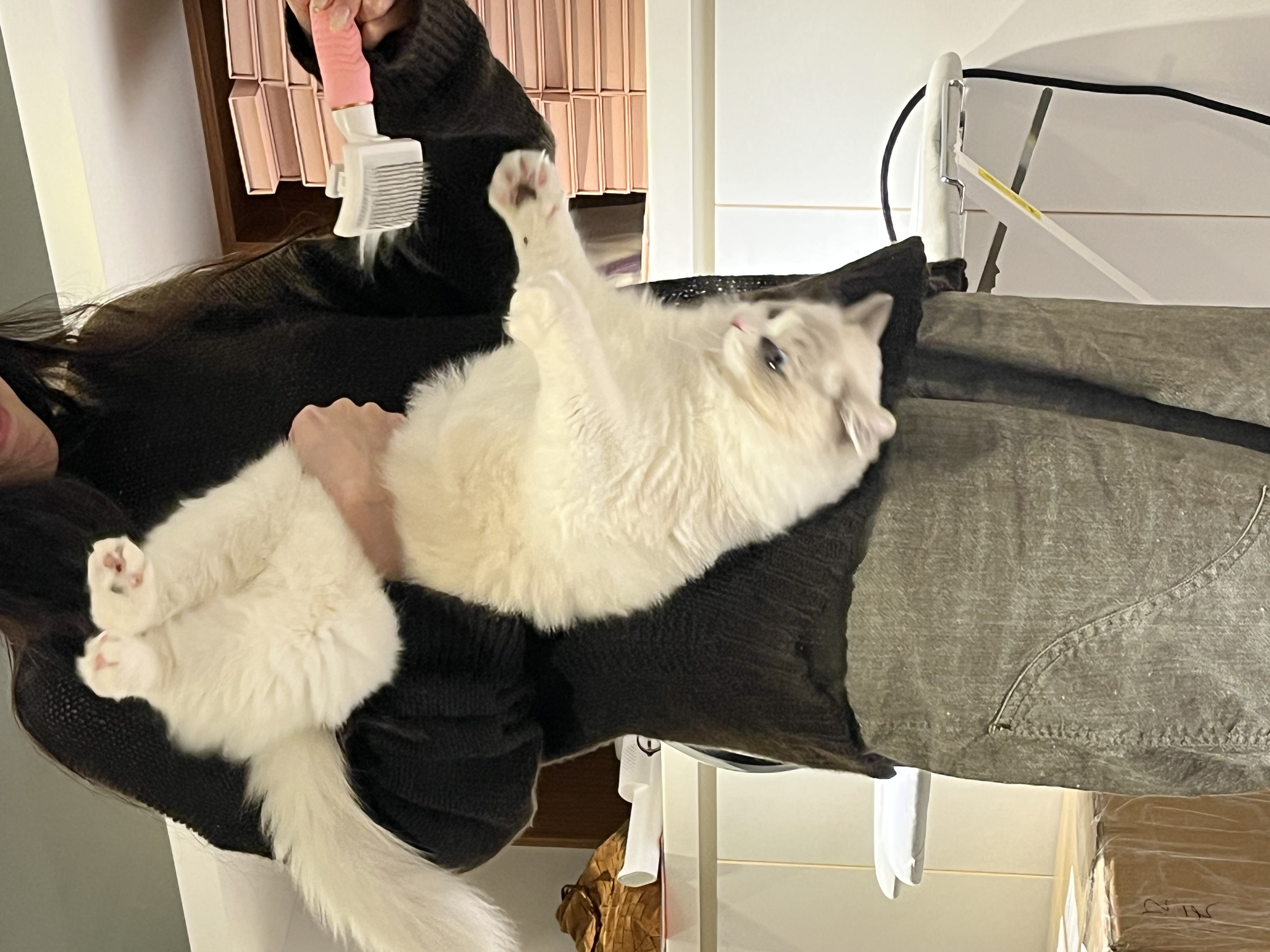 image-11