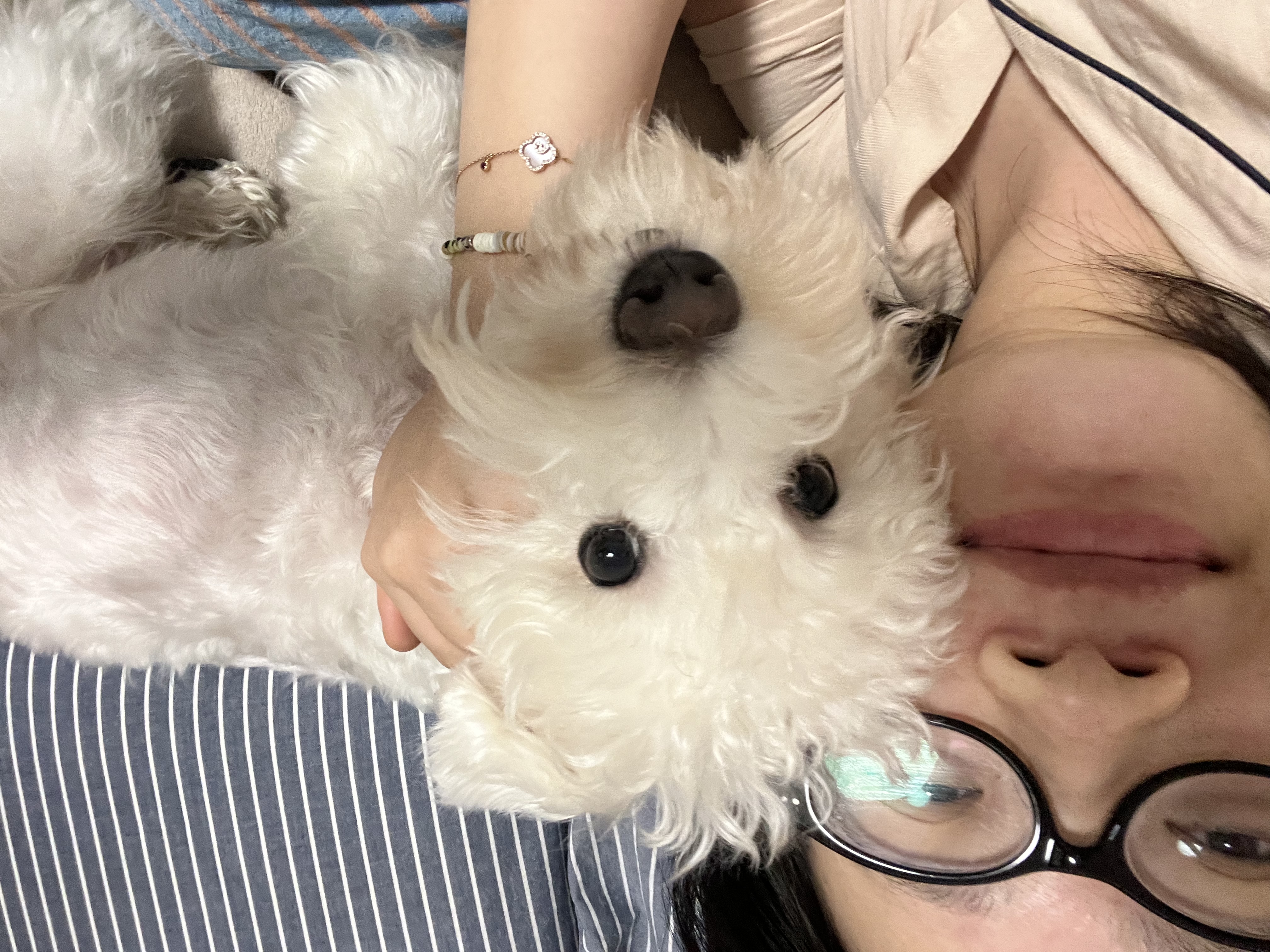 image-5