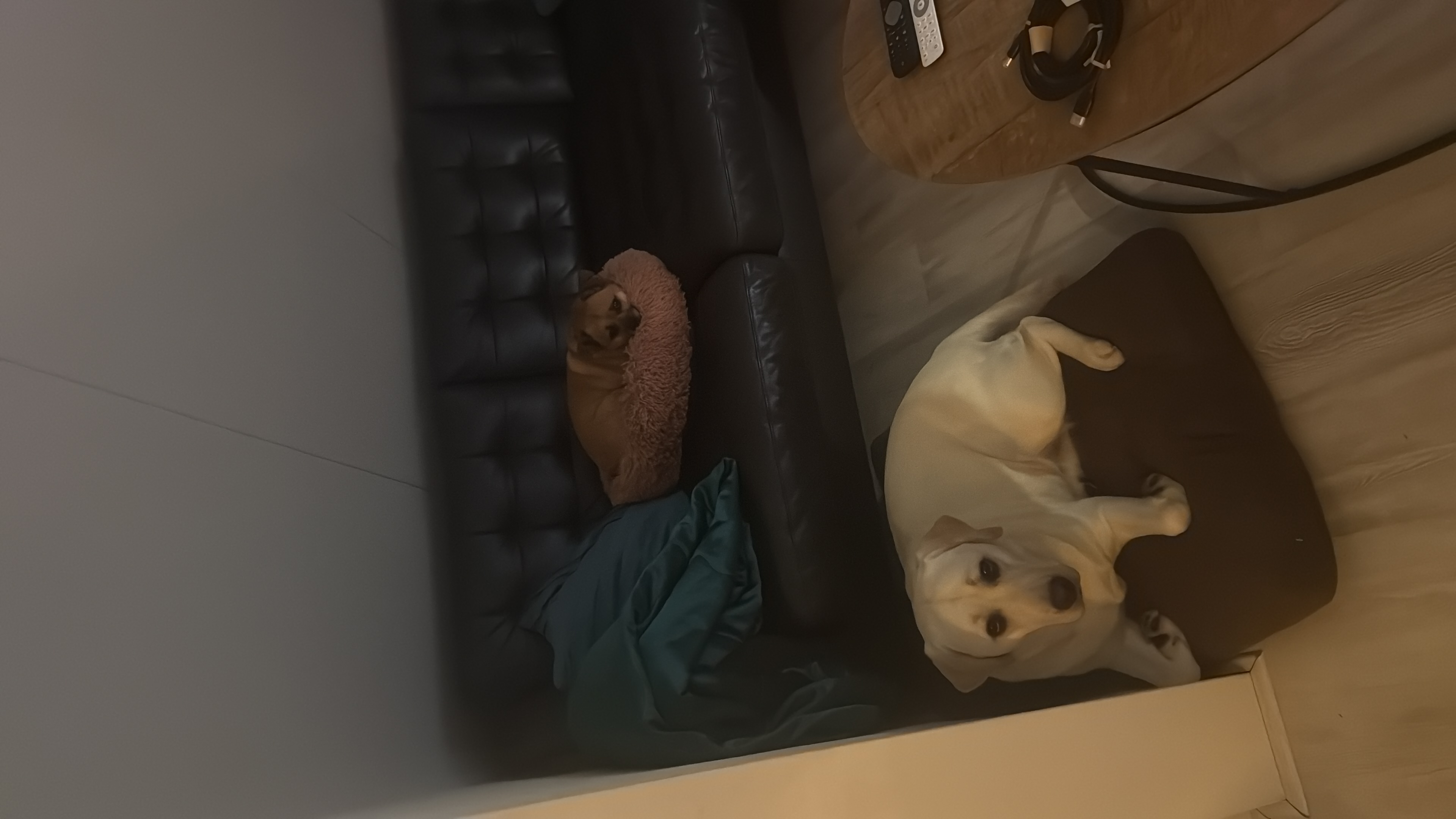 image-7