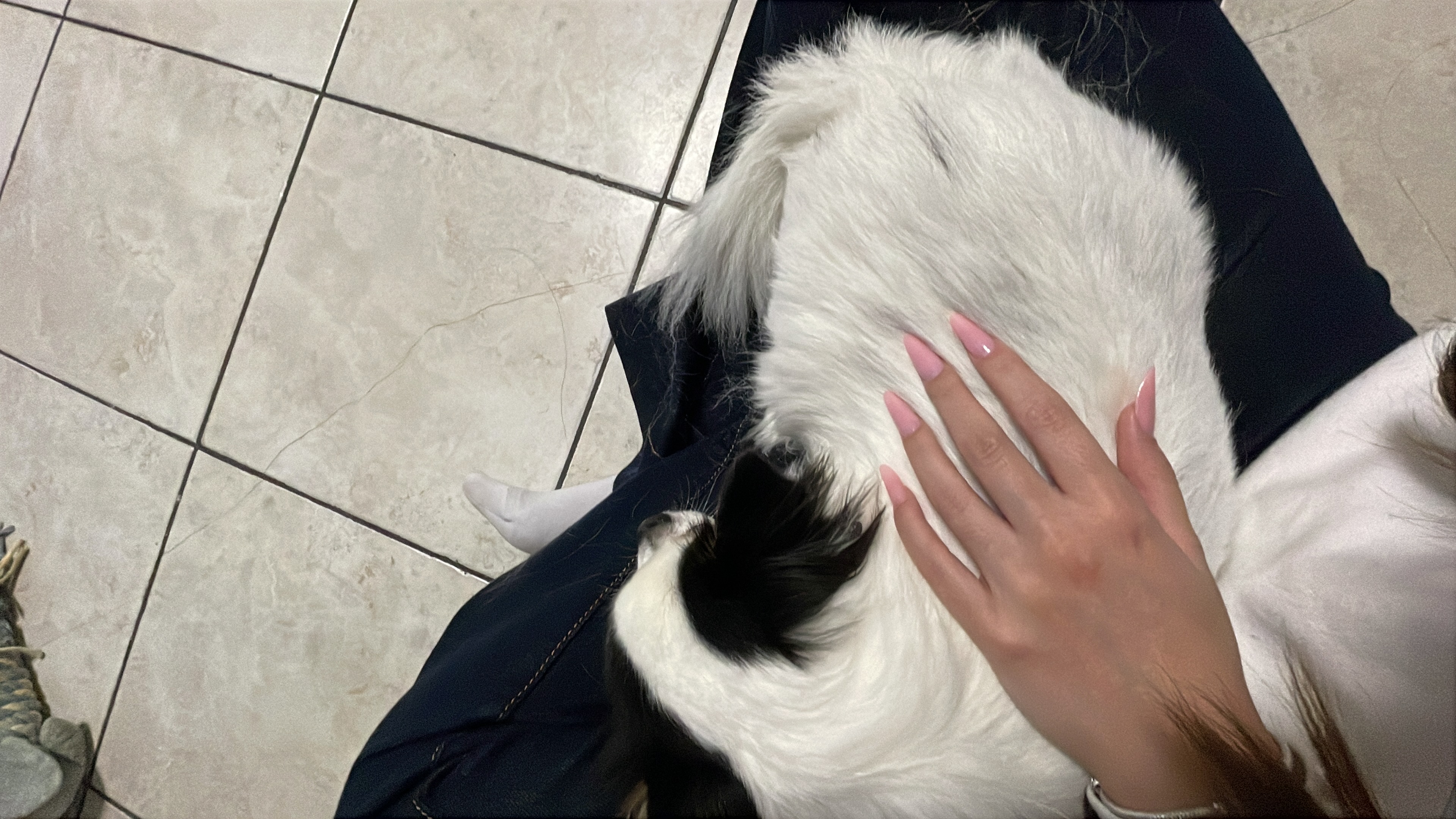 image-13