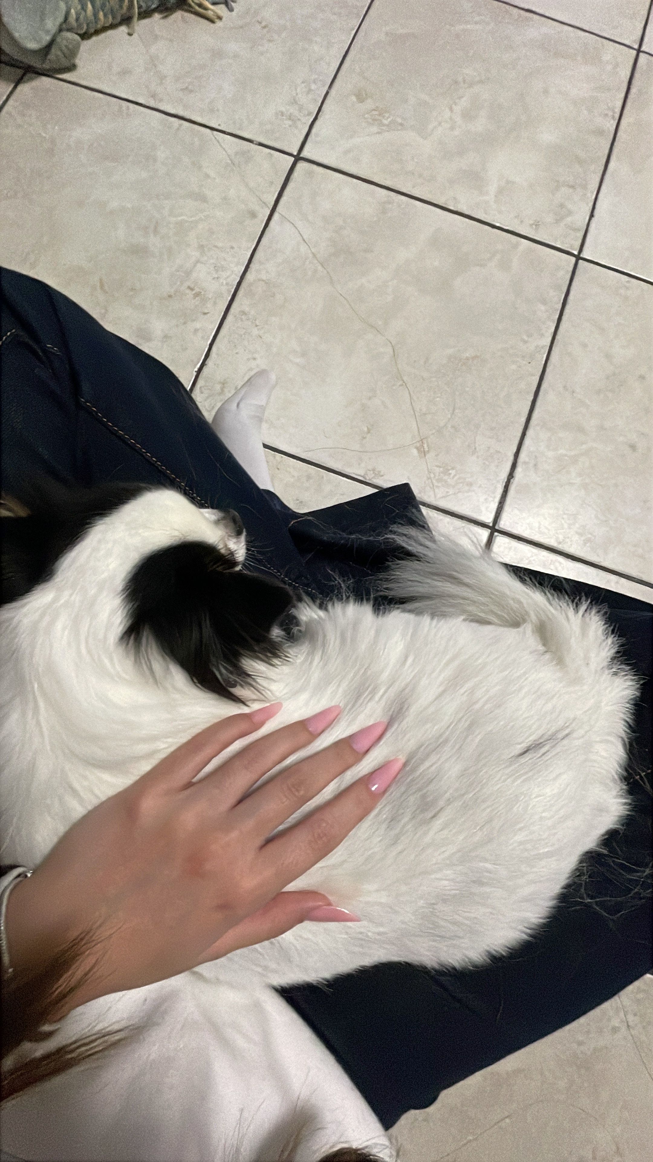 image-13