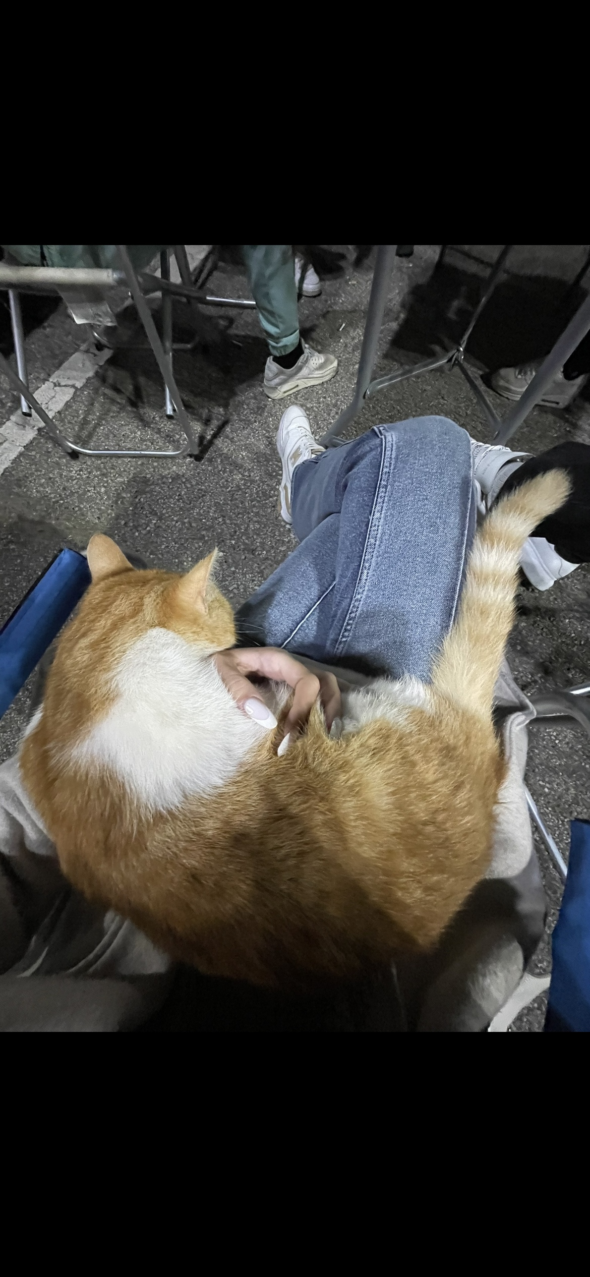 image-7