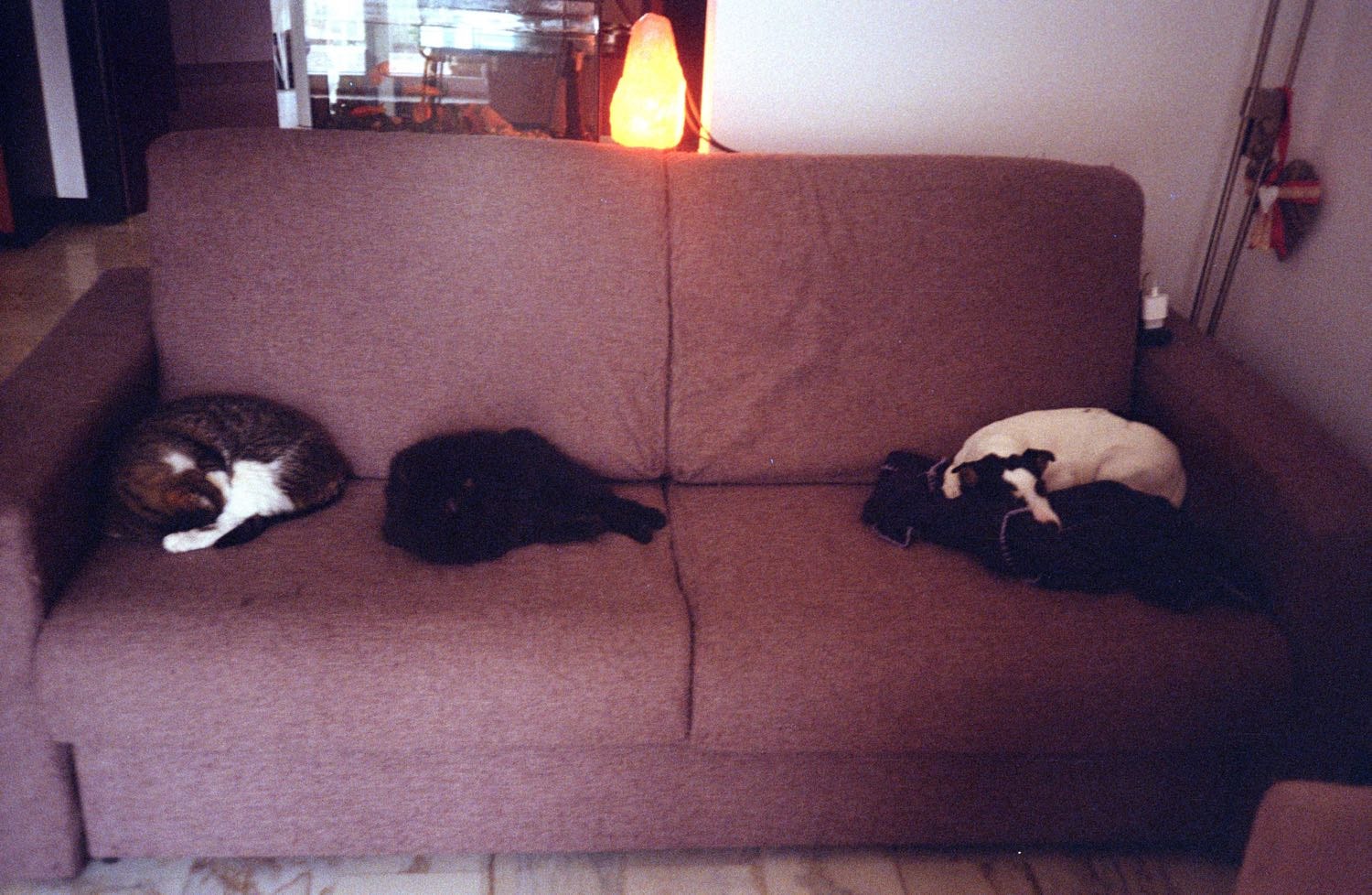 image-8