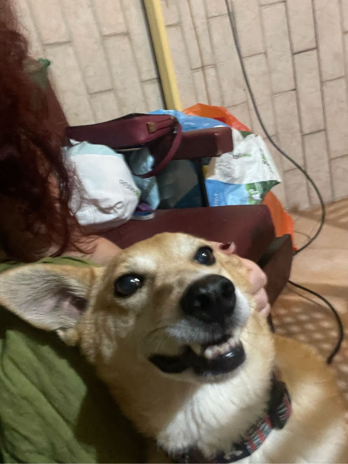 image-6
