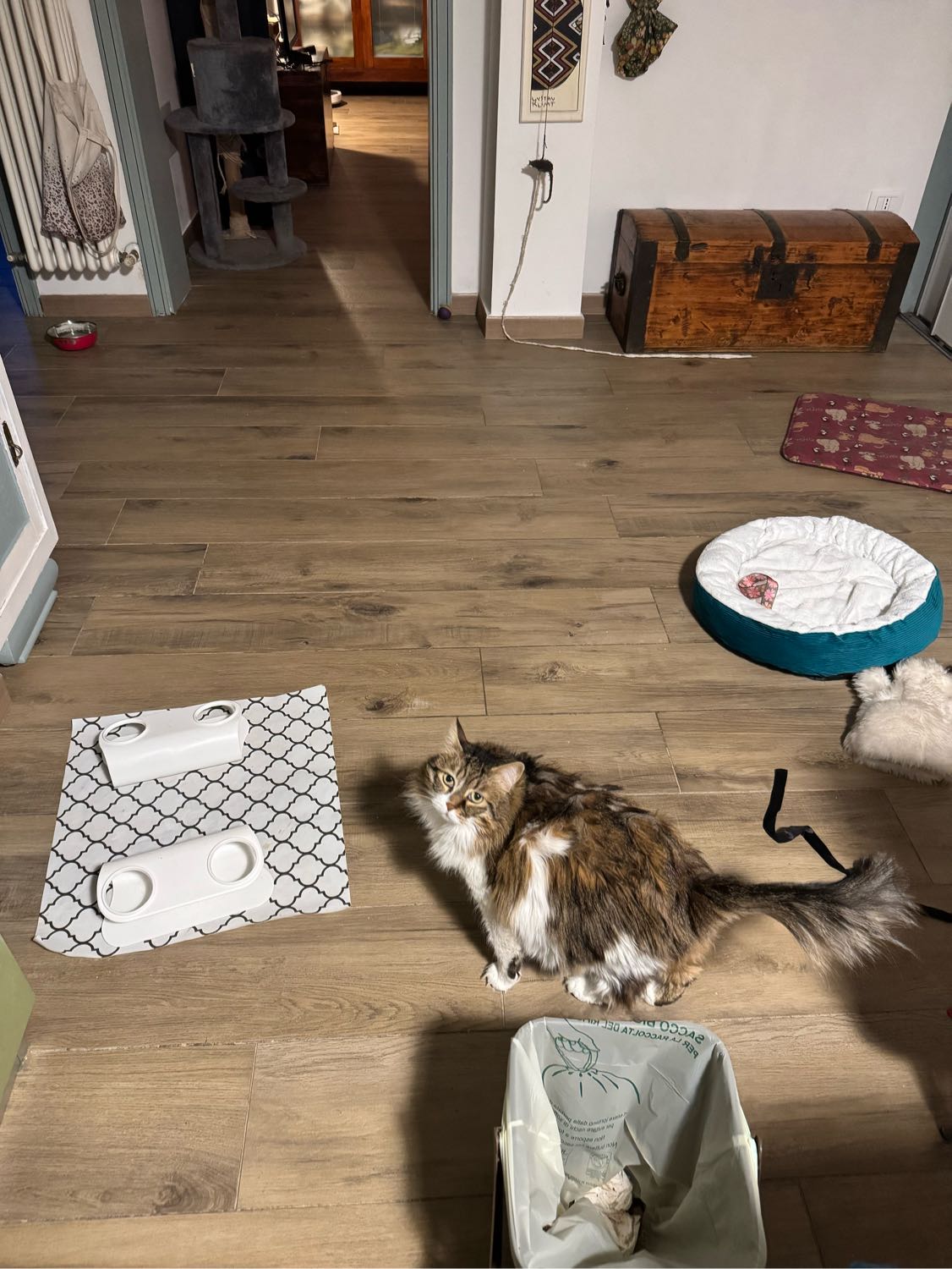 image-14