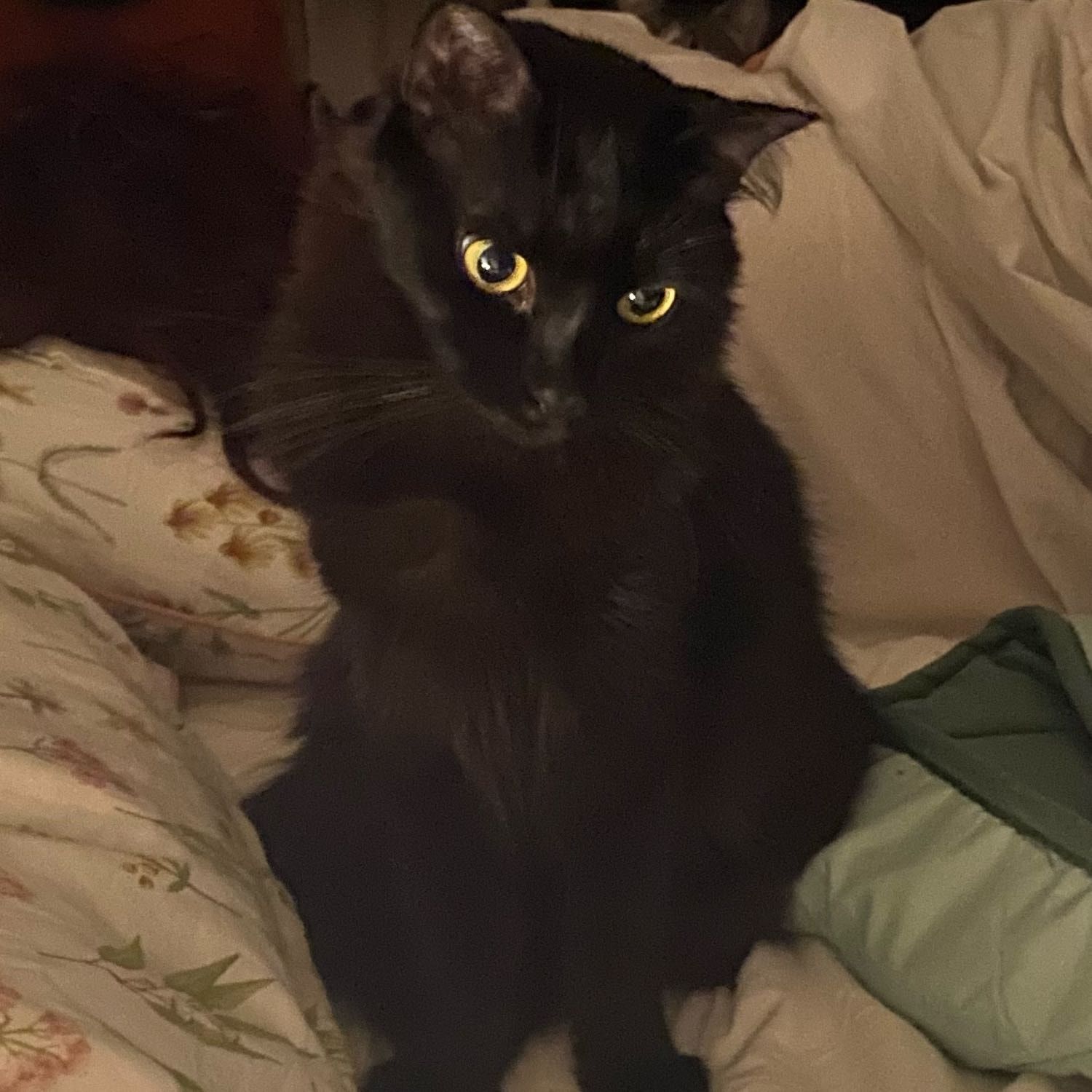 Circe