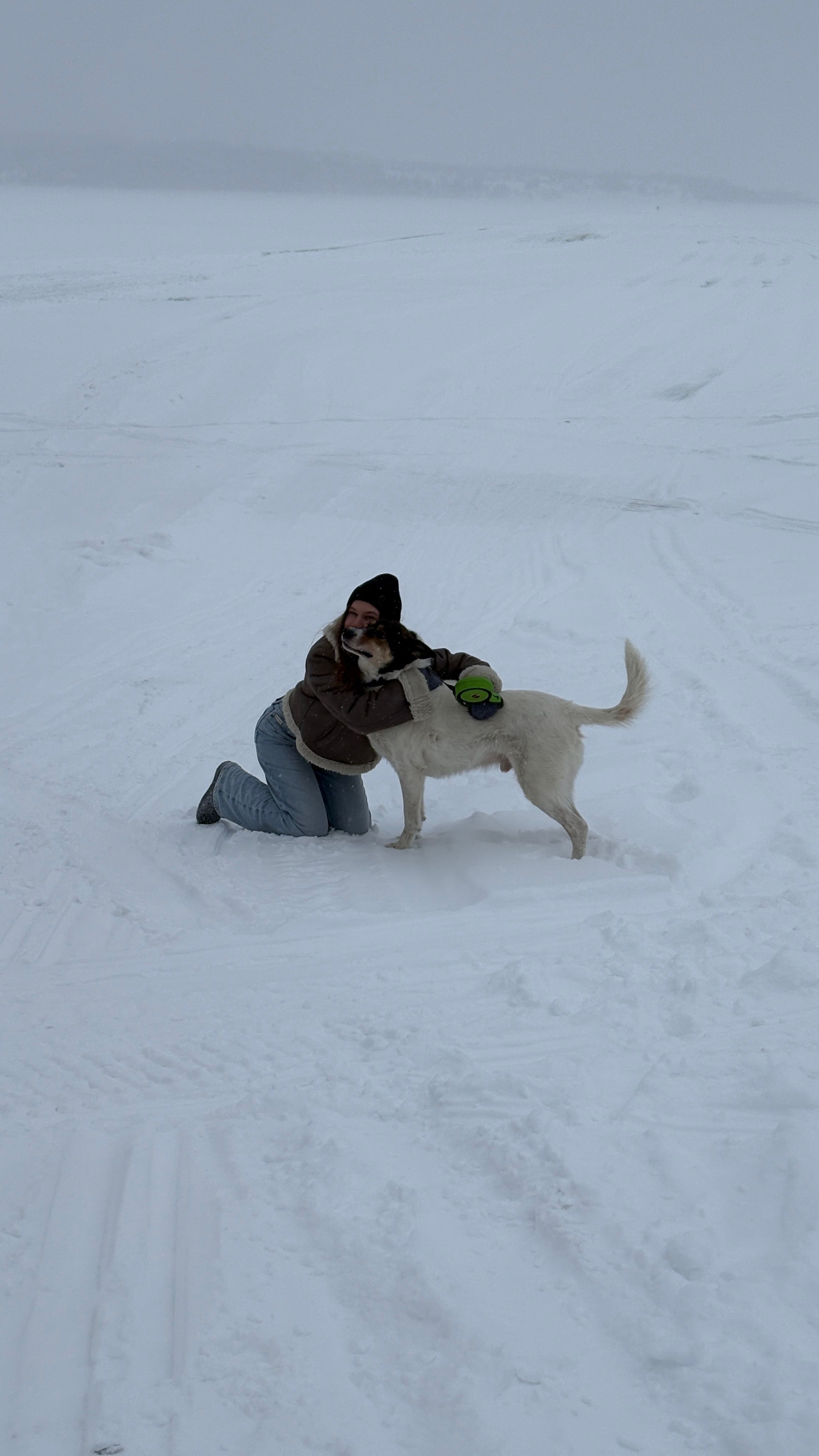 image-7