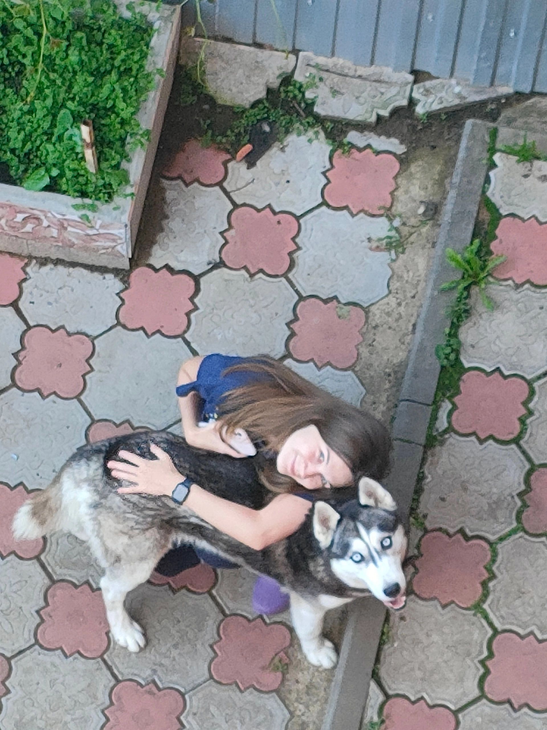 image-8