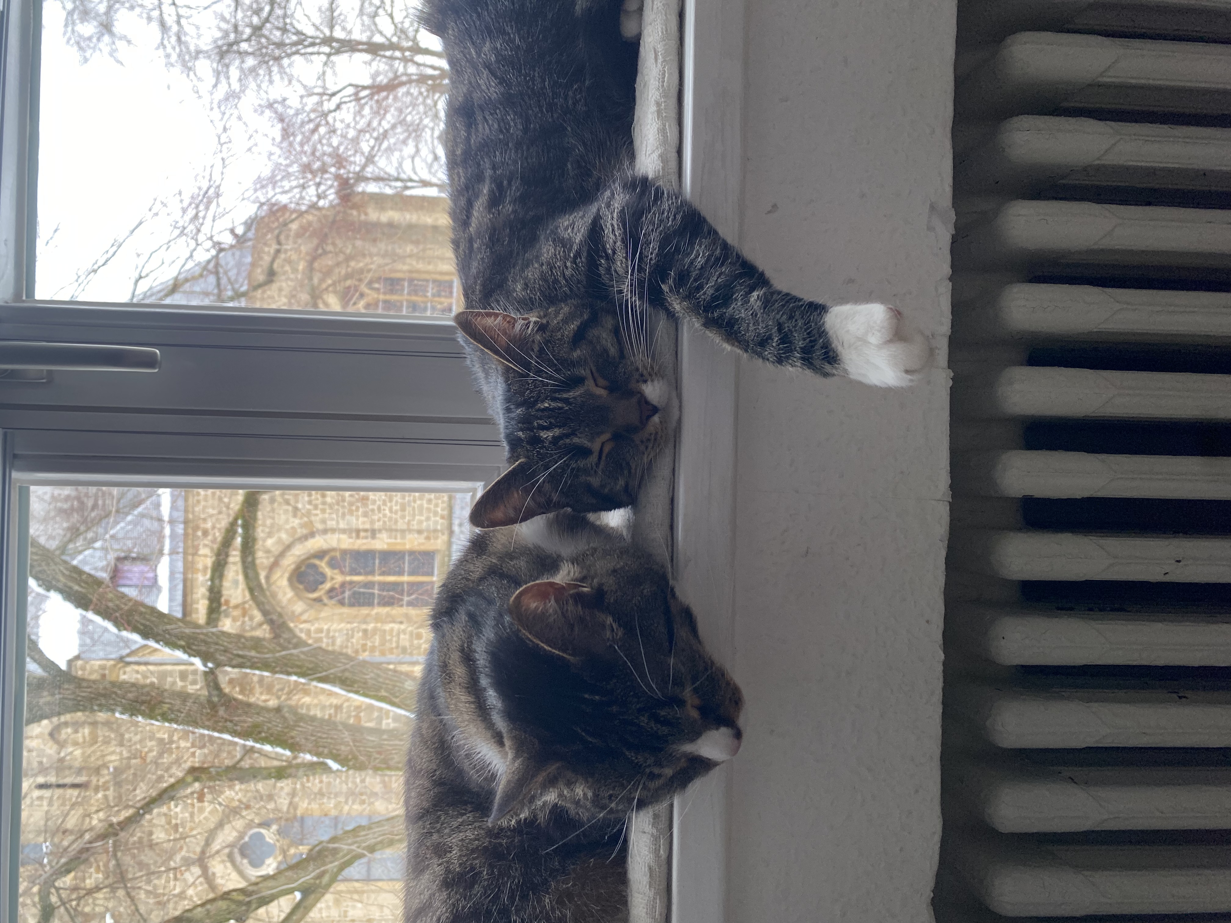 image-6