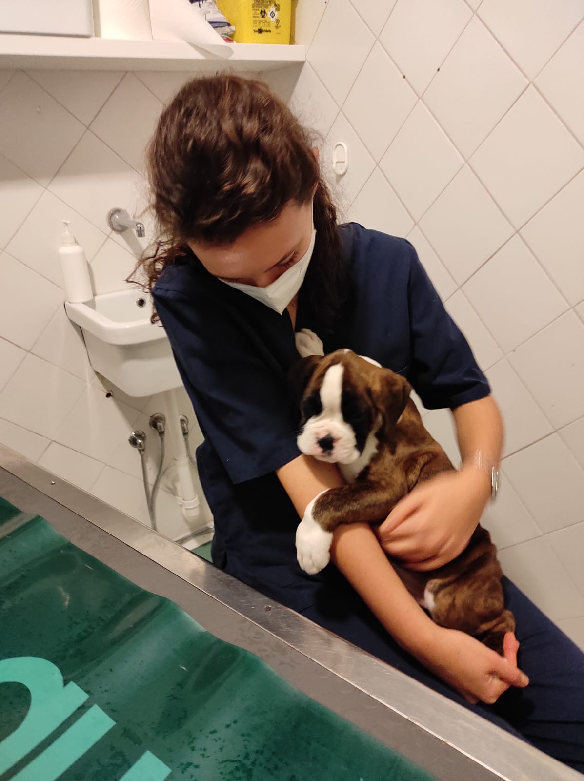 image-7